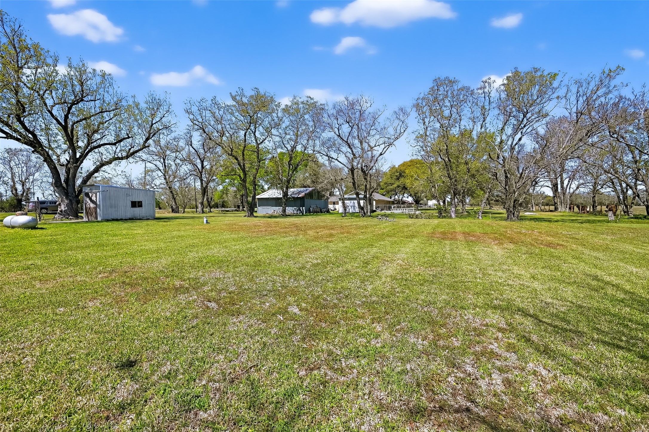 11934 Fm 1994 Road Property Photo 43