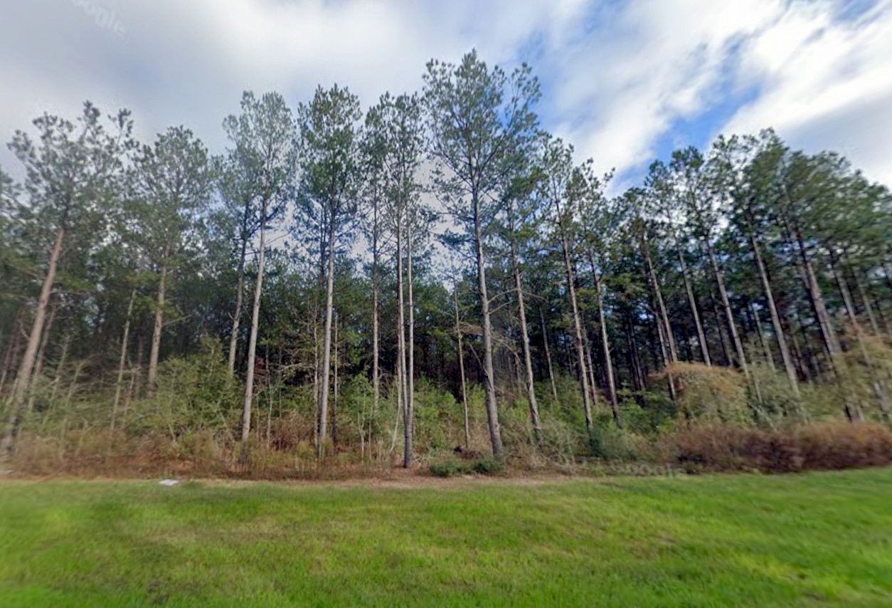 16010 Forest Mill Road Property Photo 4