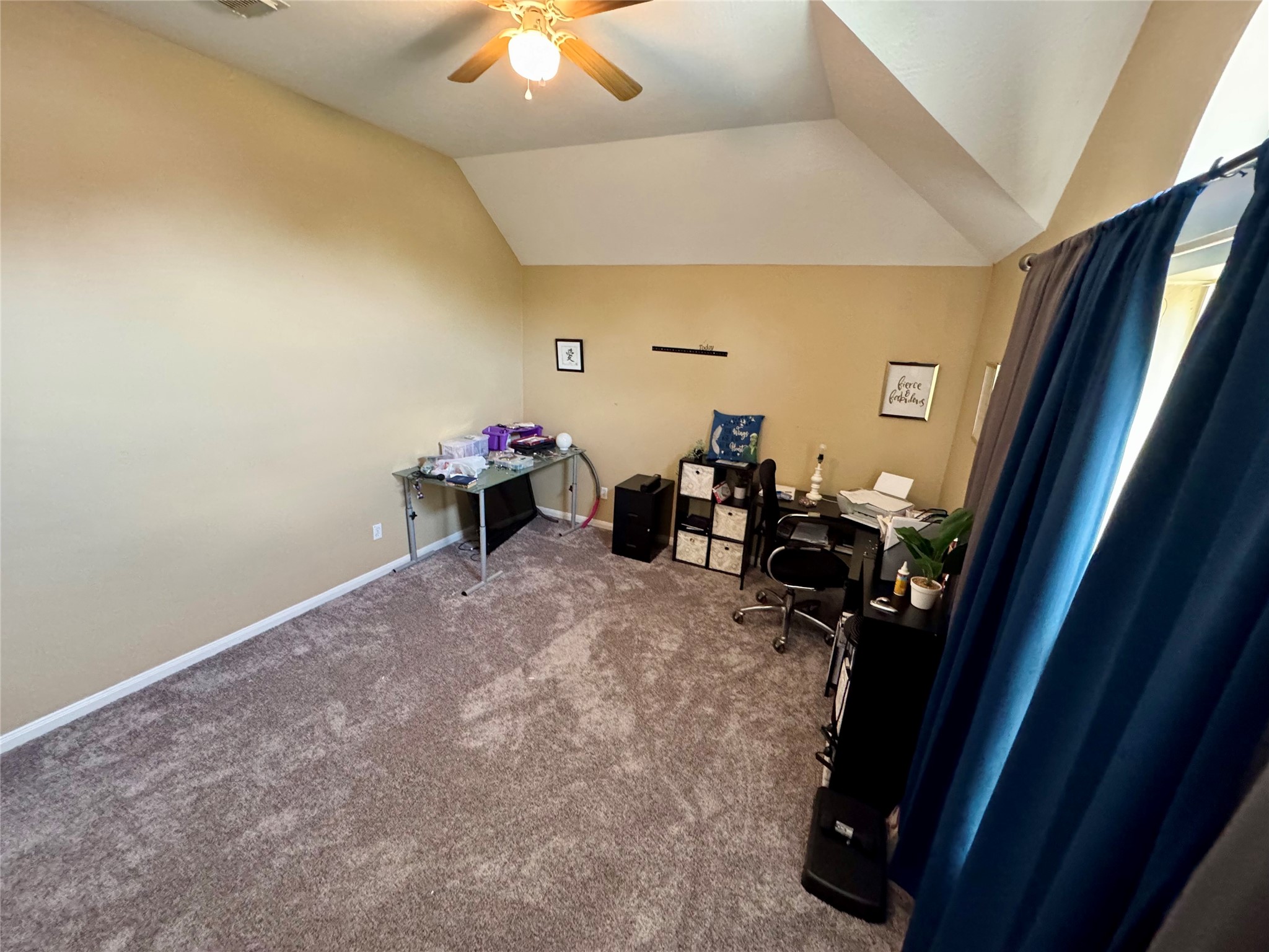 3819 Teal Maple Court Property Photo 38