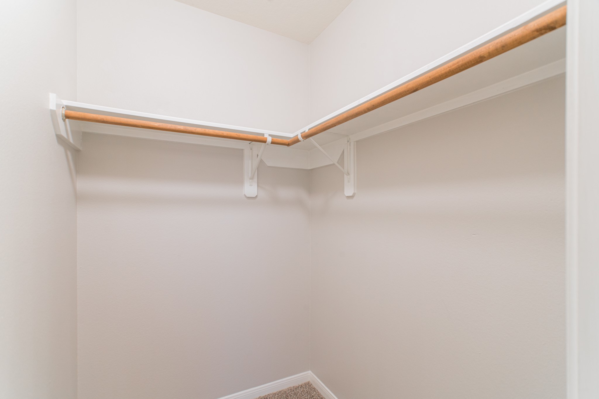 22519 Goss Spring Court Property Photo 38