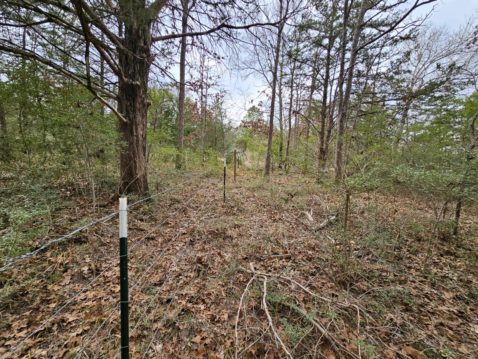 Tbd Jackrabbit Lane Lane Property Photo 3
