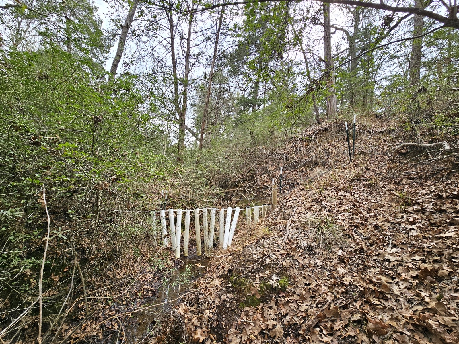 Tbd Jackrabbit Lane Lane Property Photo 4