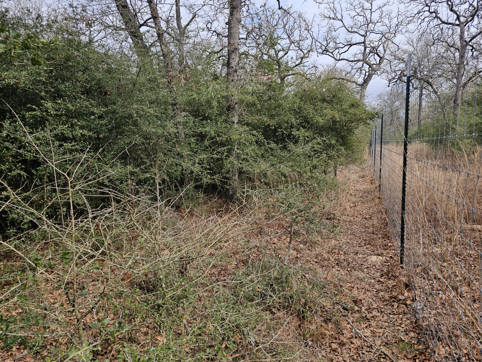 Tbd Jackrabbit Lane Lane Property Photo 5