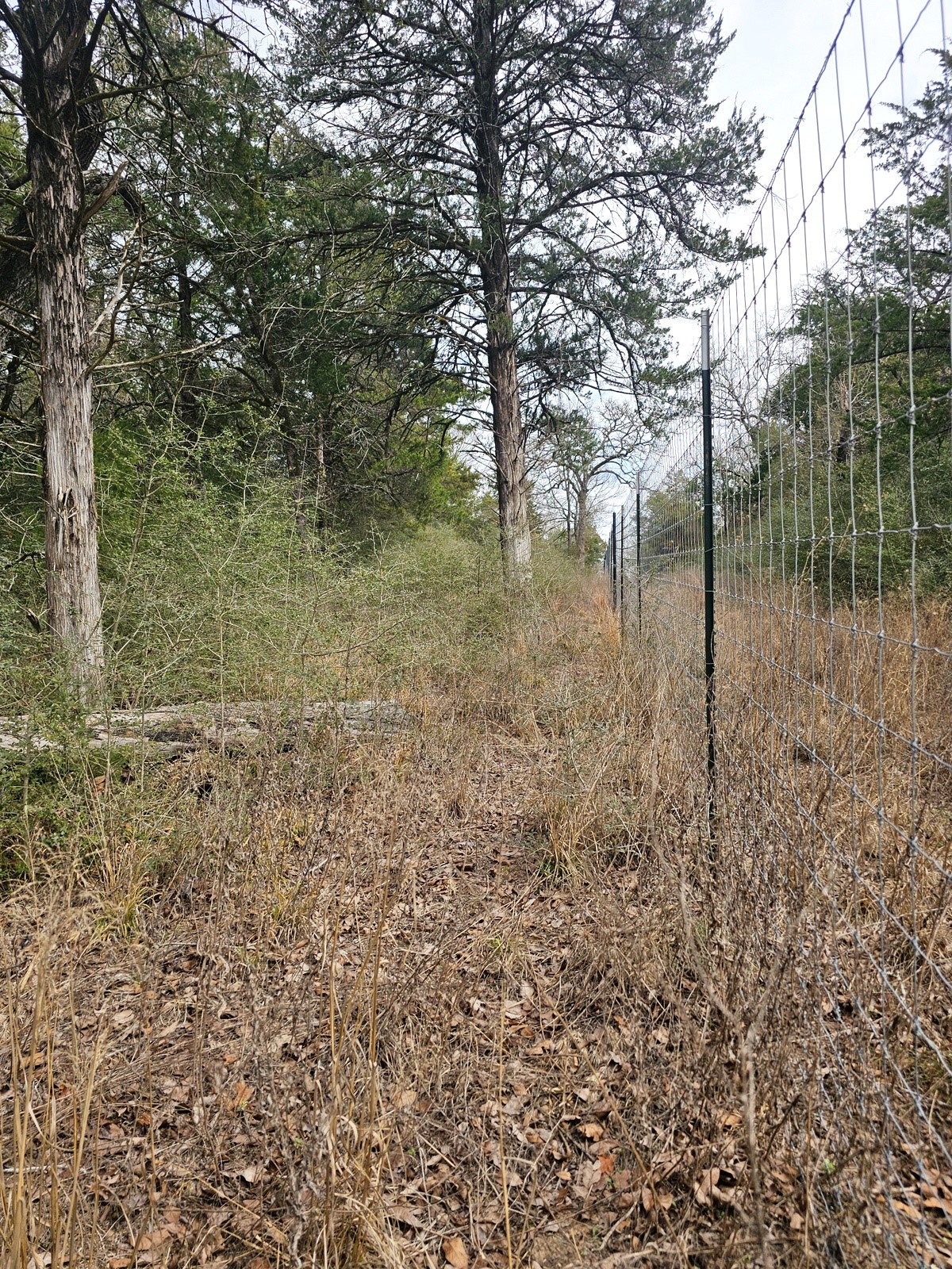 Tbd Jackrabbit Lane Lane Property Photo 7