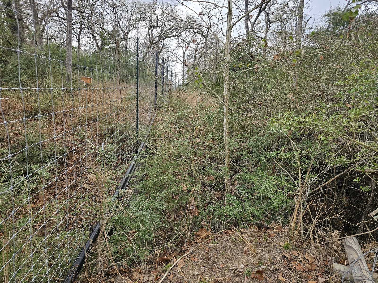 Tbd Jackrabbit Lane Lane Property Photo 8