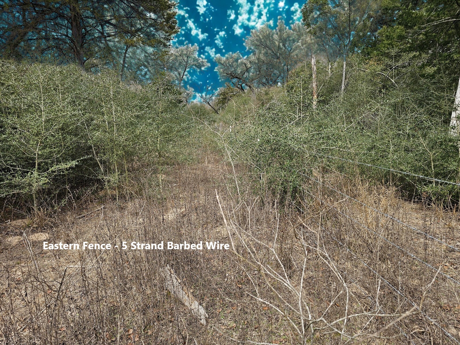 Tbd Jackrabbit Lane Lane Property Photo 11