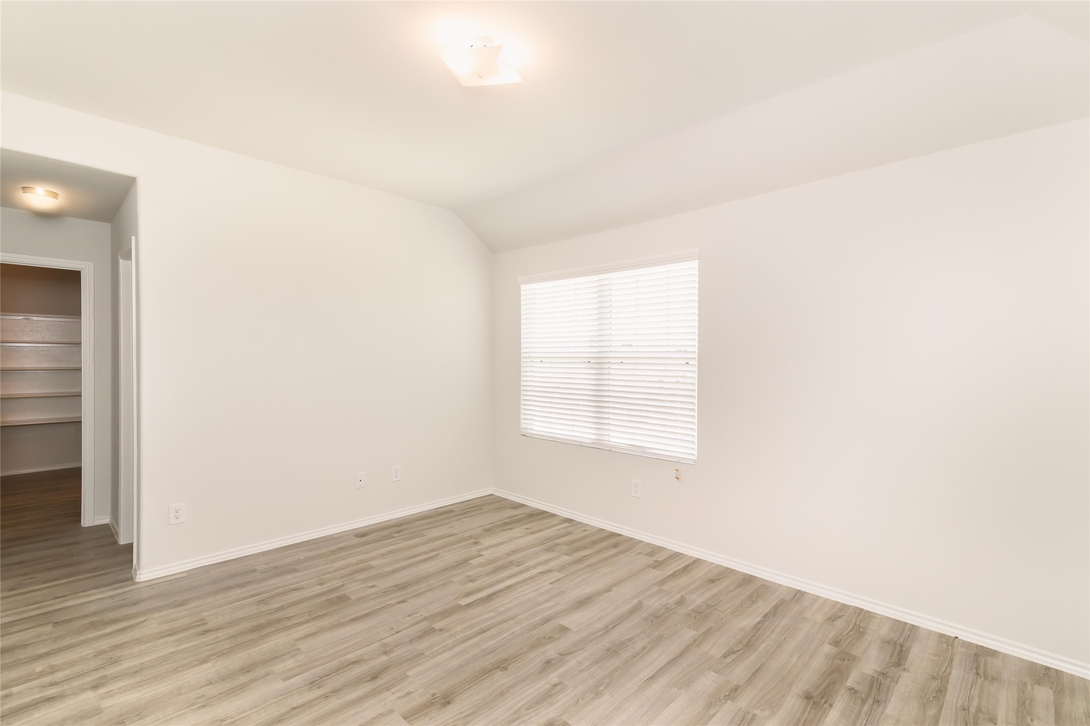 24246 Avogadro Drive Property Photo 7
