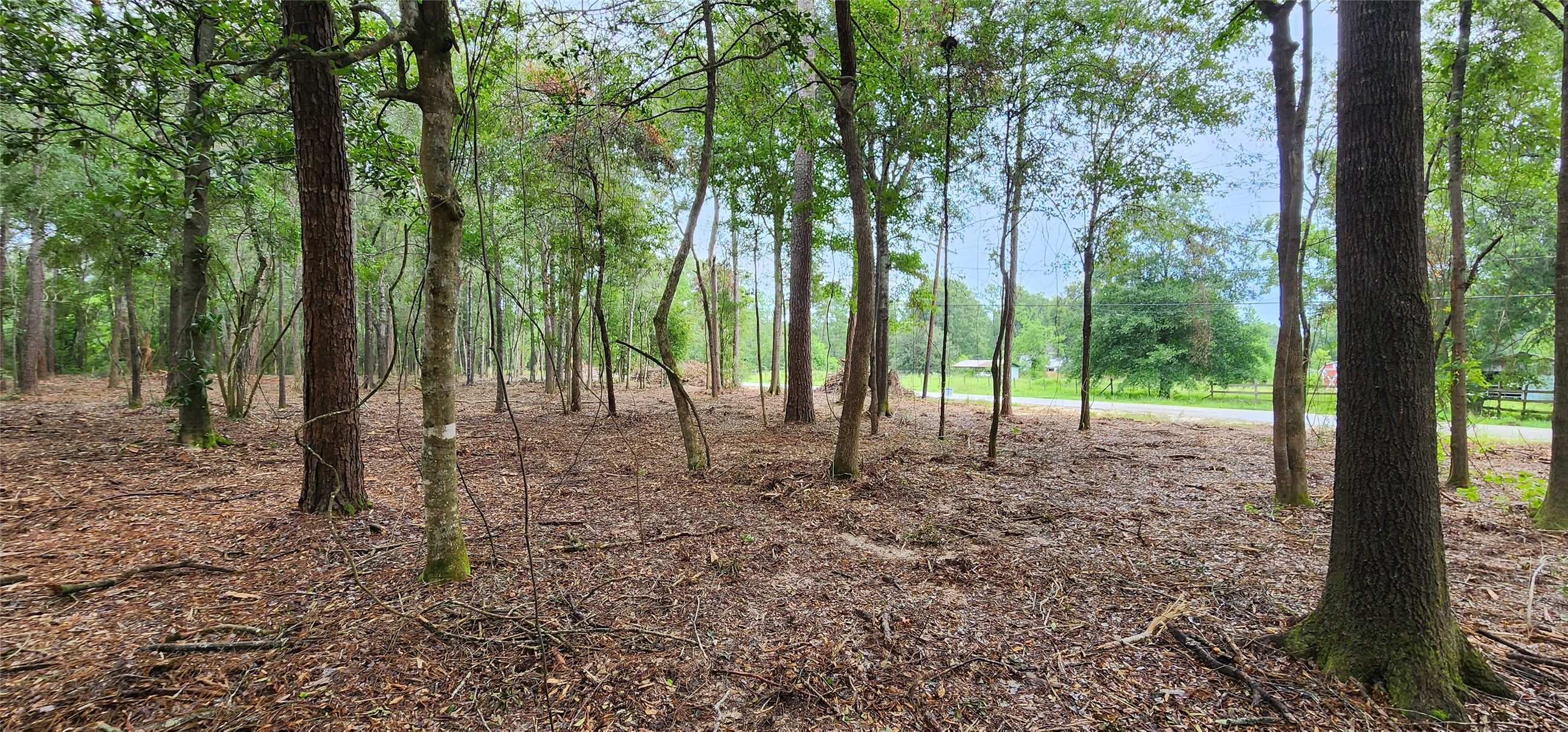 Lot 2 Broussard Road Property Photo