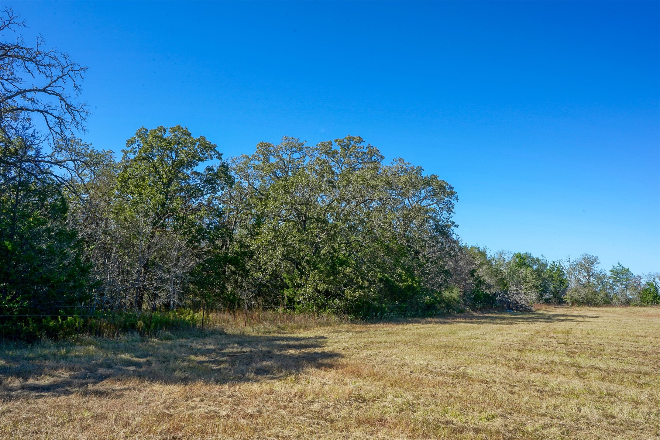 Lot 2 County Rd 229 Property Photo 1
