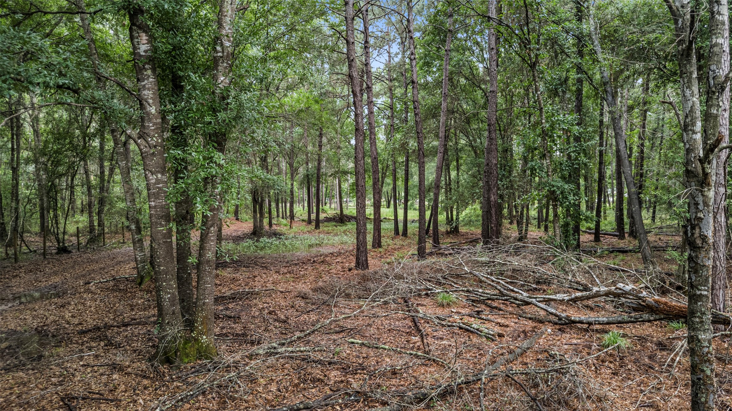 1507 County Road 3011 Property Photo 4