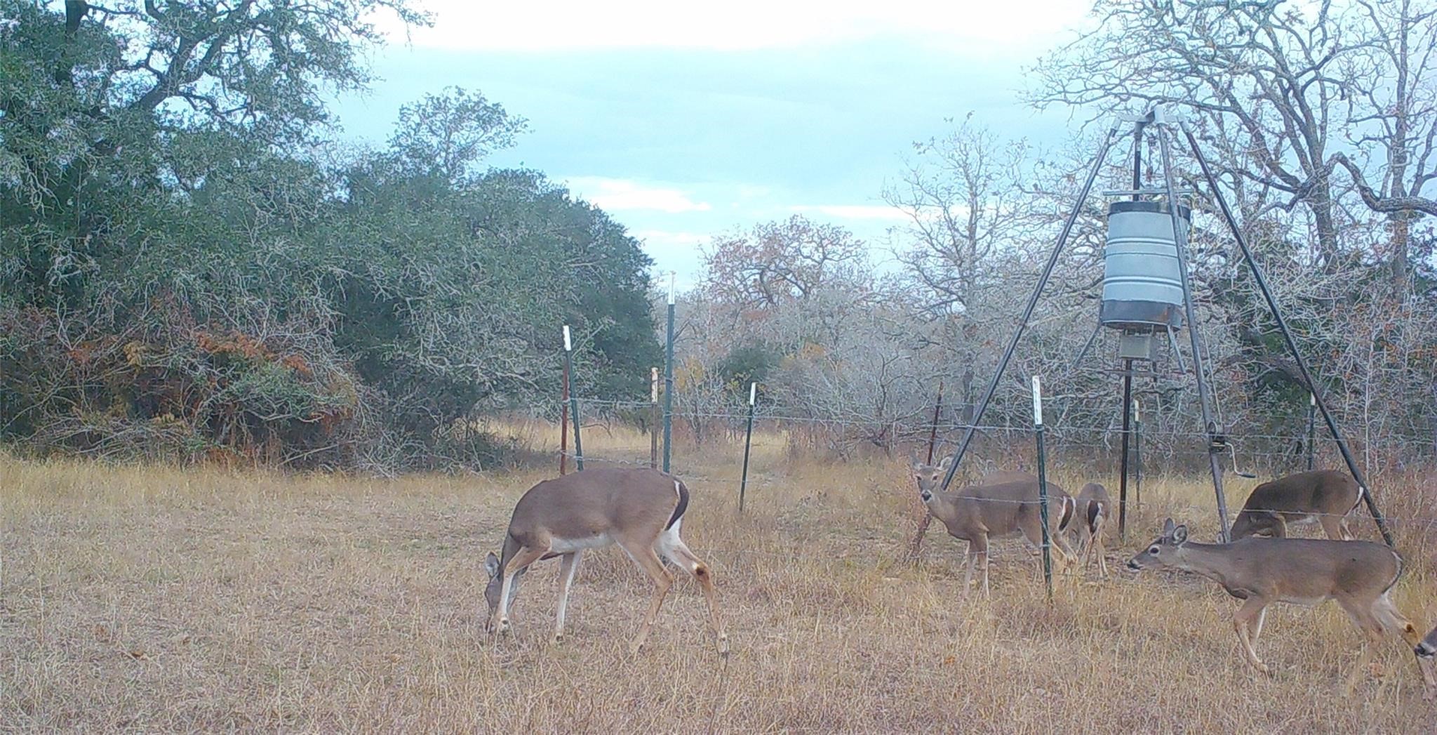 0 Old Seguin Luling Road Property Photo 12
