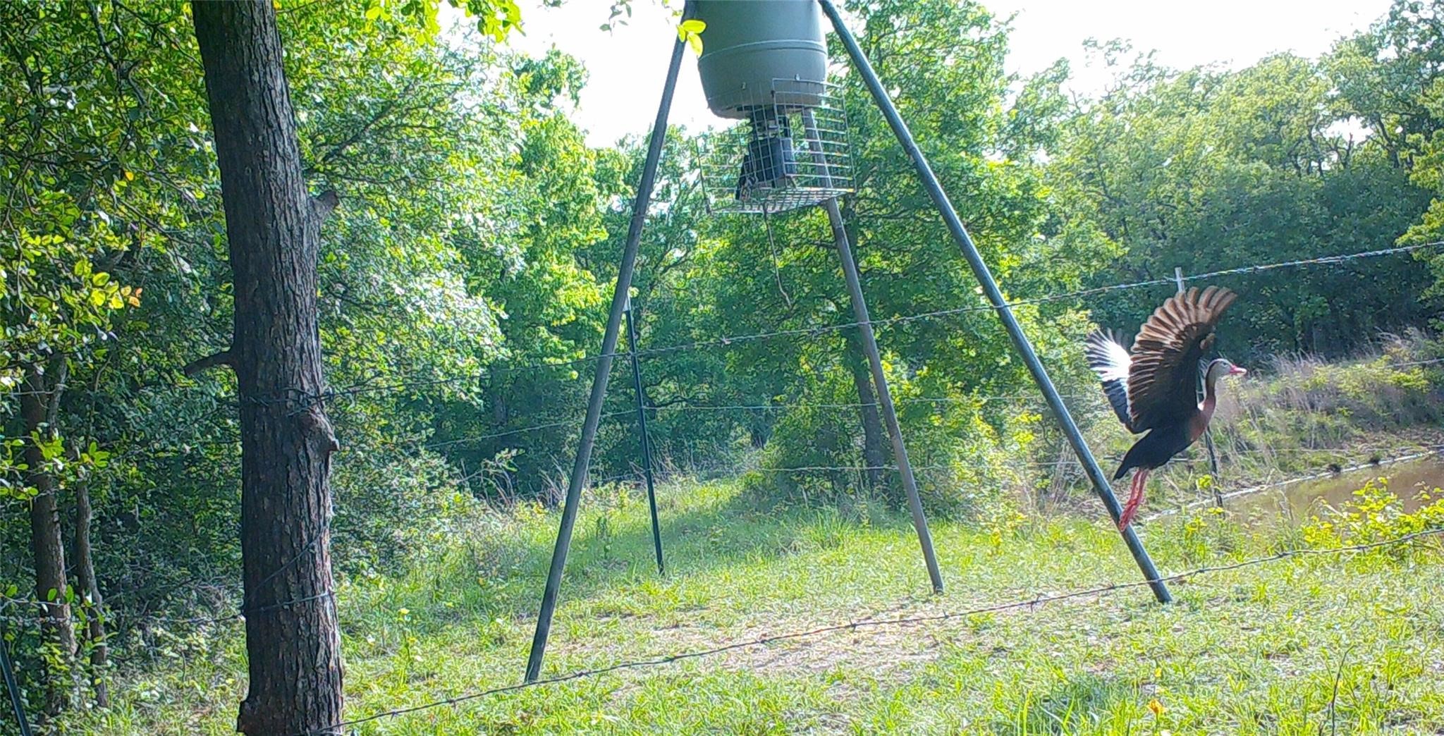 0 Old Seguin Luling Road Property Photo 13