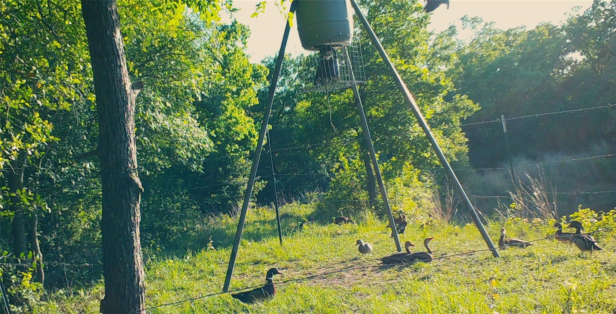0 Old Seguin Luling Road Property Photo 14
