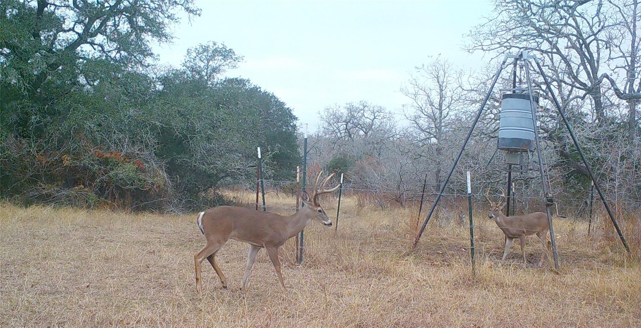 0 Old Seguin Luling Road Property Photo 15