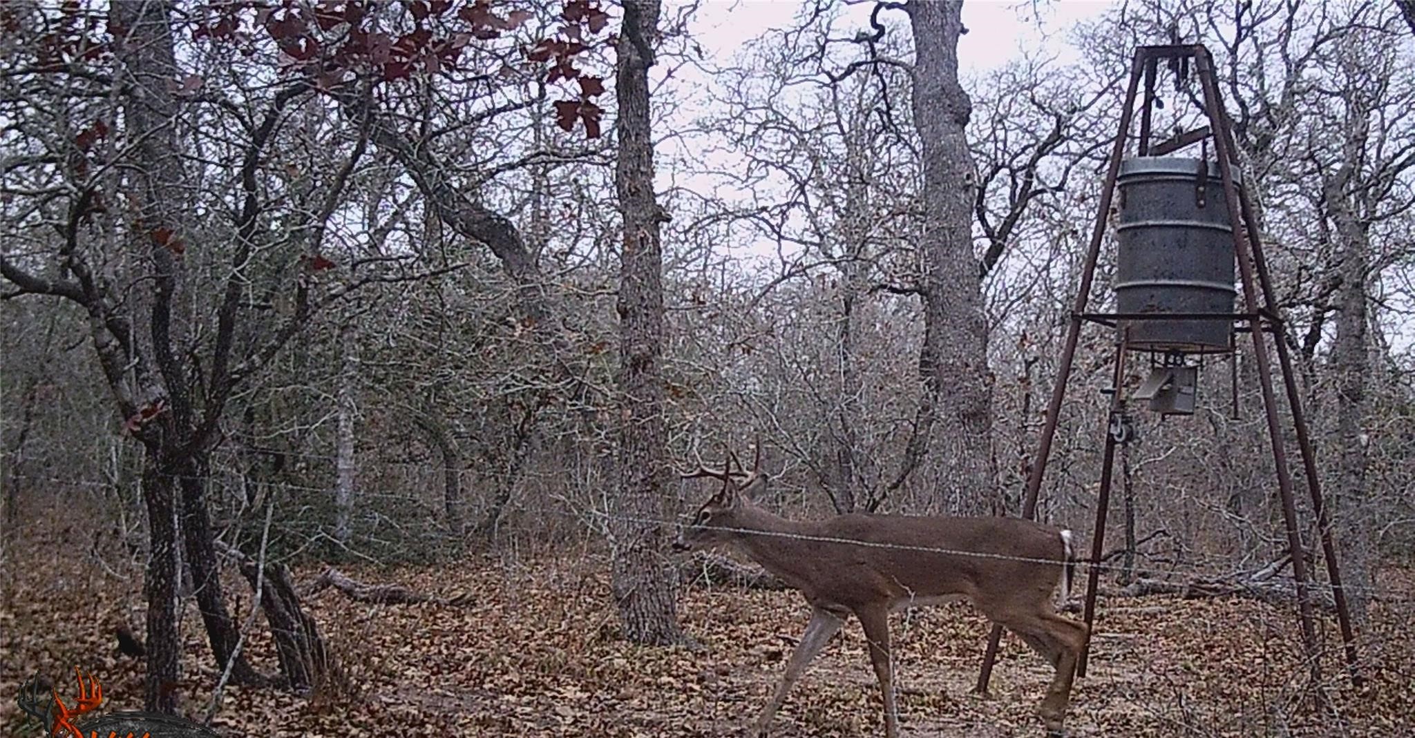 0 Old Seguin Luling Road Property Photo 16