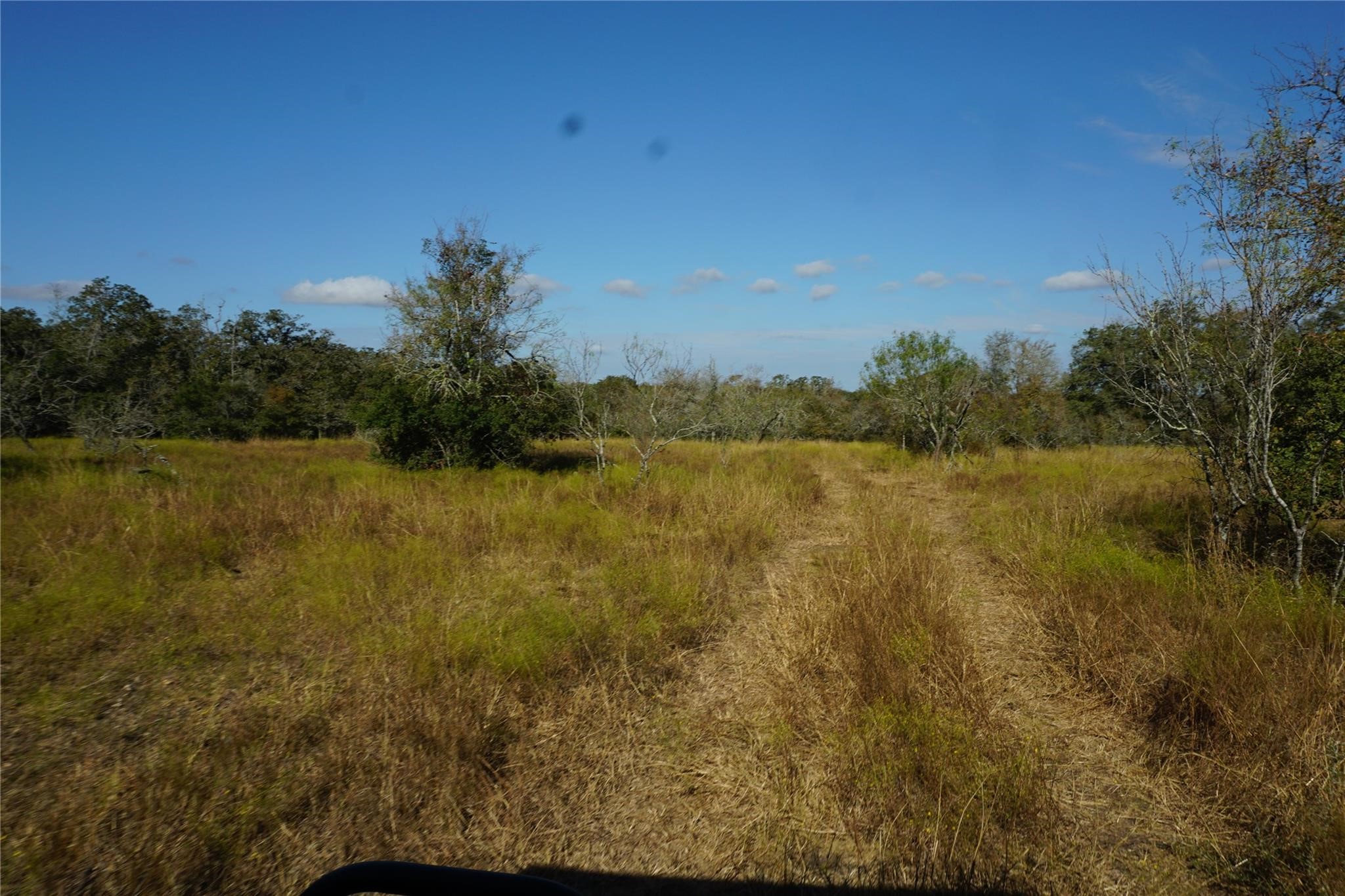 0 Old Seguin Luling Road Property Photo 17