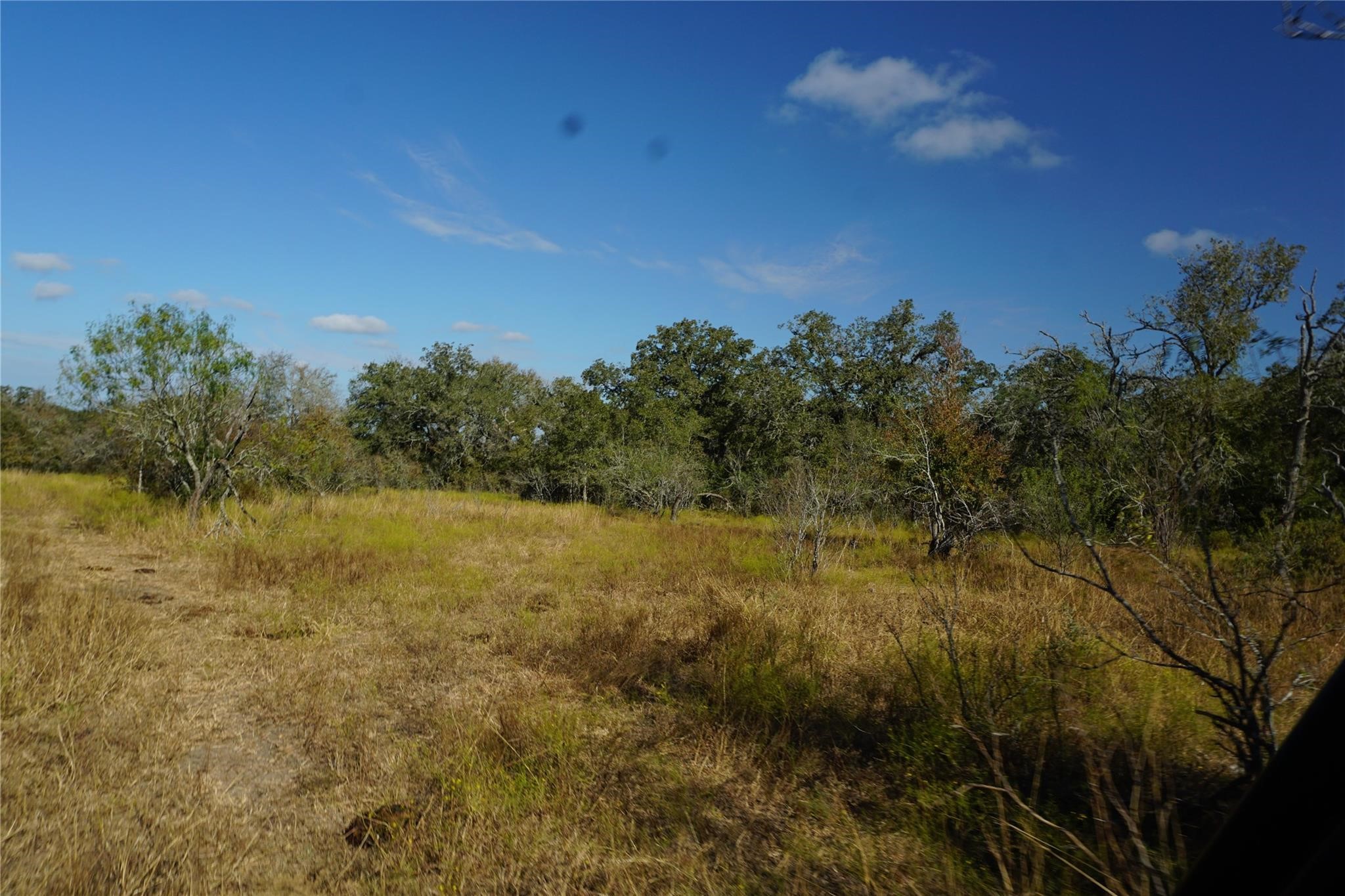 0 Old Seguin Luling Road Property Photo 18