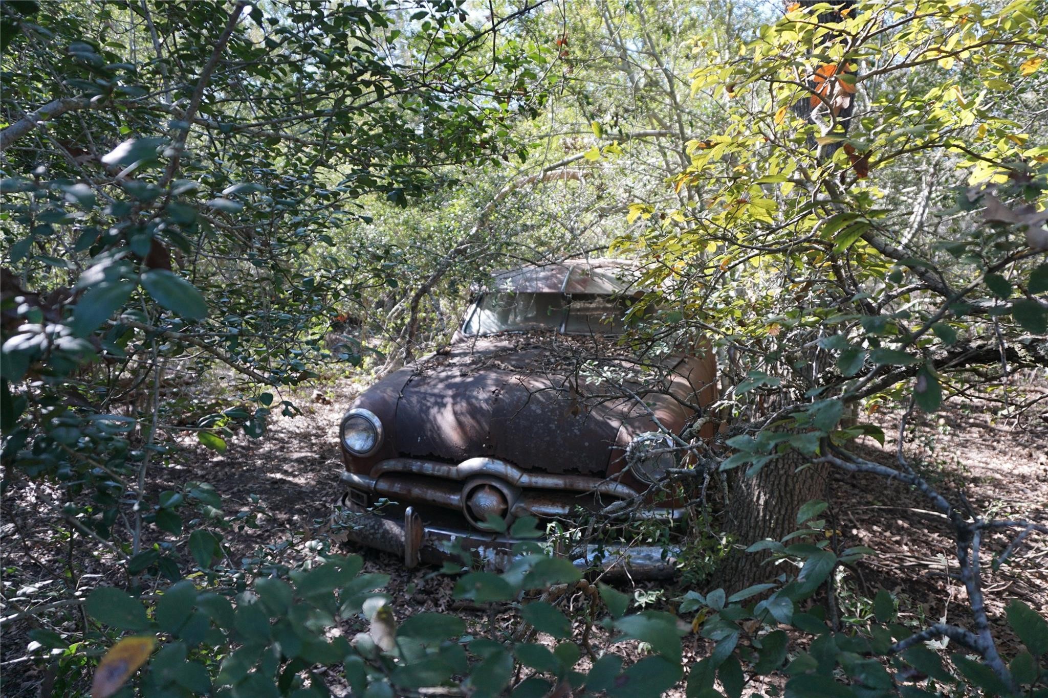 0 Old Seguin Luling Road Property Photo 19