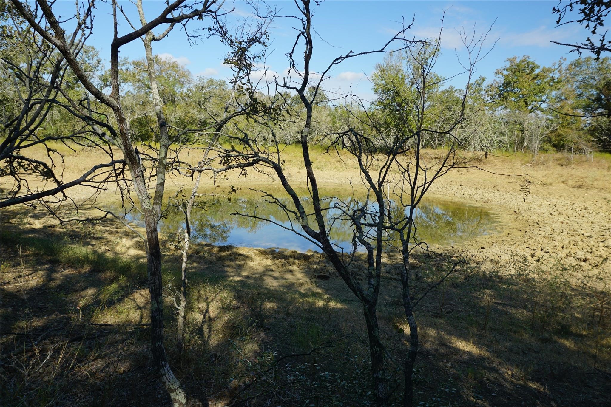 0 Old Seguin Luling Road Property Photo 20