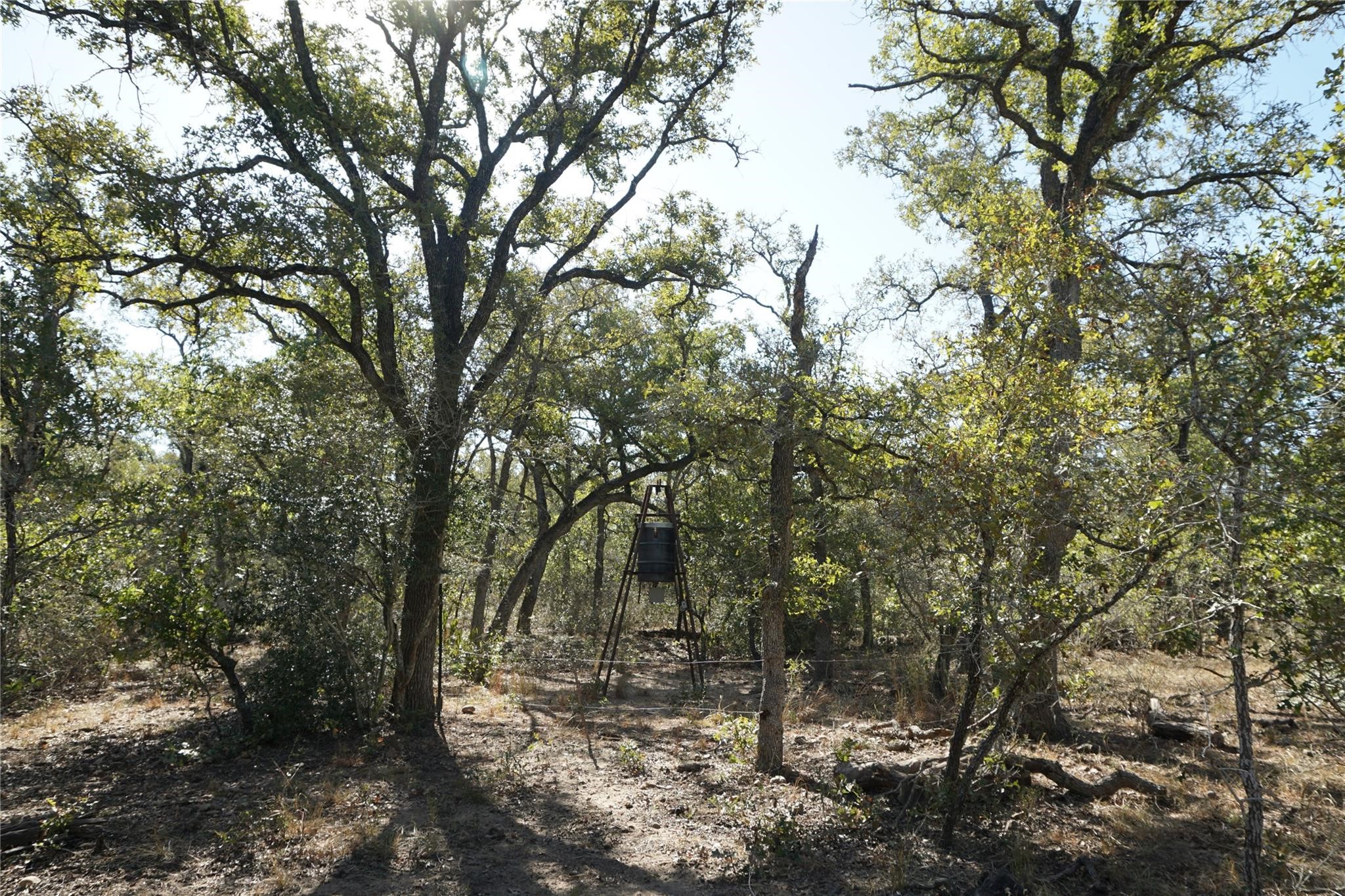 0 Old Seguin Luling Road Property Photo 21