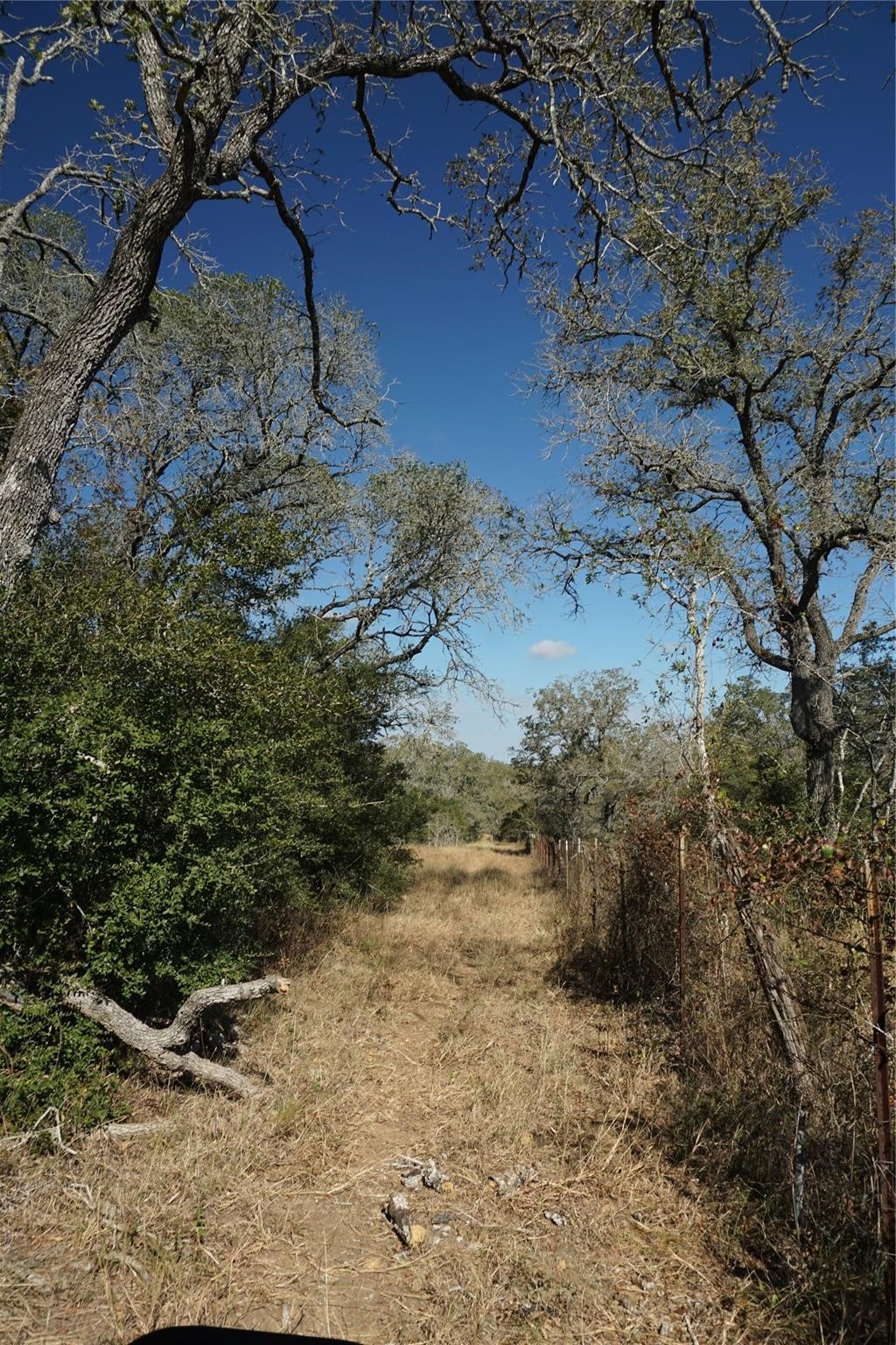 0 Old Seguin Luling Road Property Photo 22