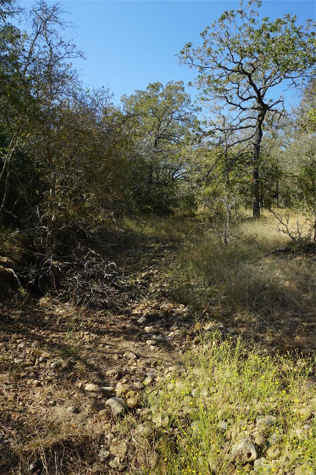 0 Old Seguin Luling Road Property Photo 23