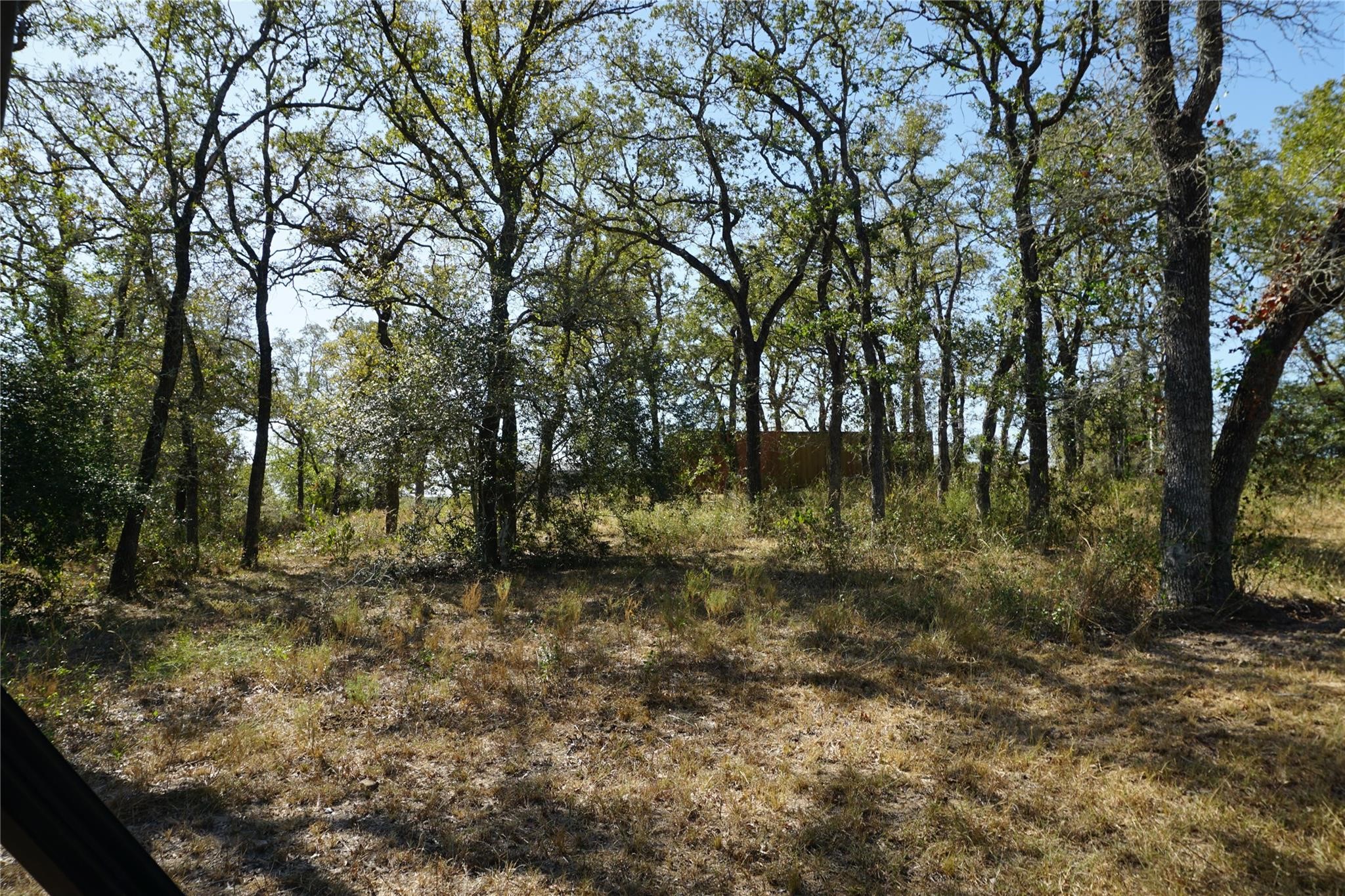 0 Old Seguin Luling Road Property Photo 24