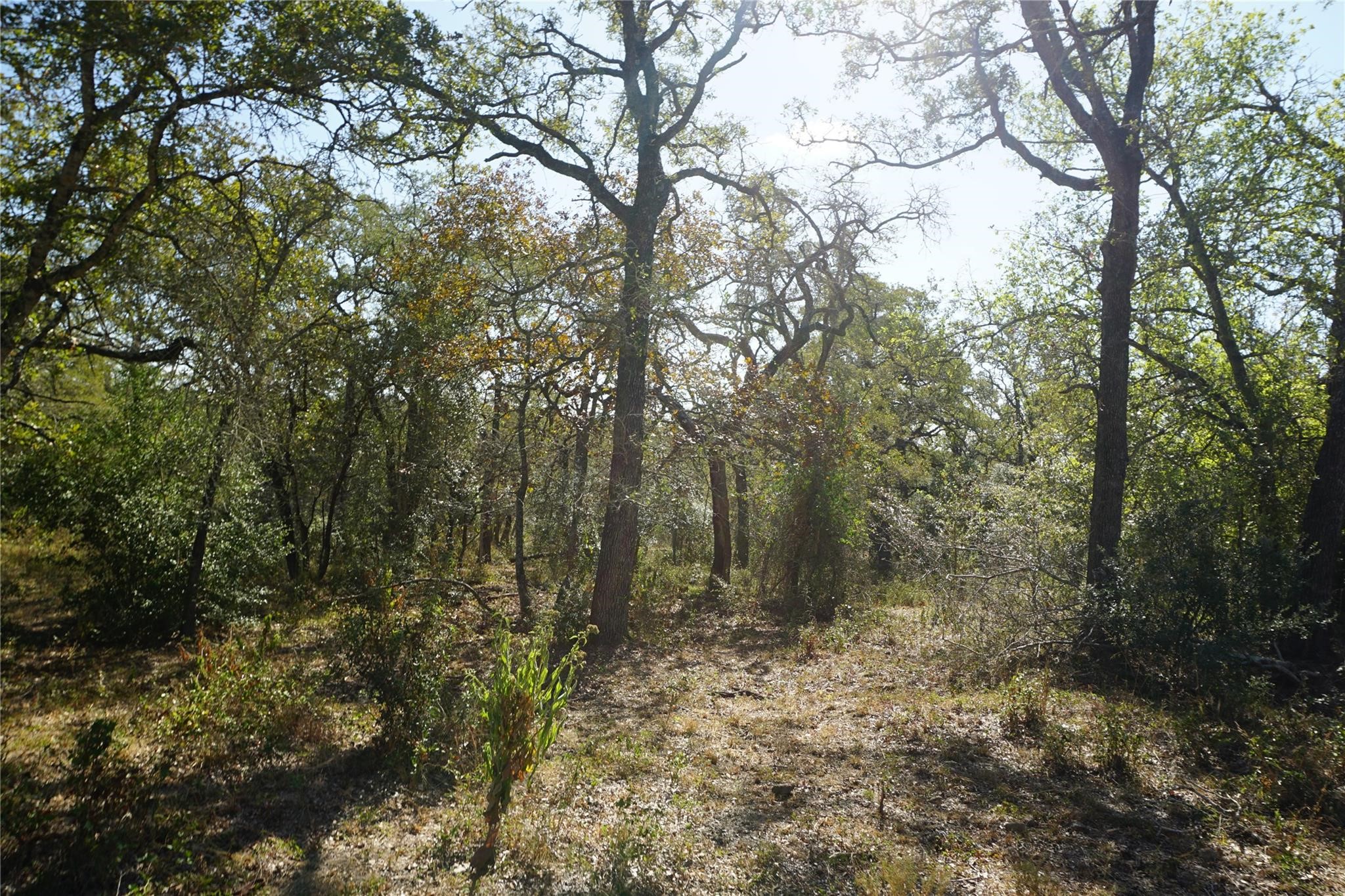 0 Old Seguin Luling Road Property Photo 25