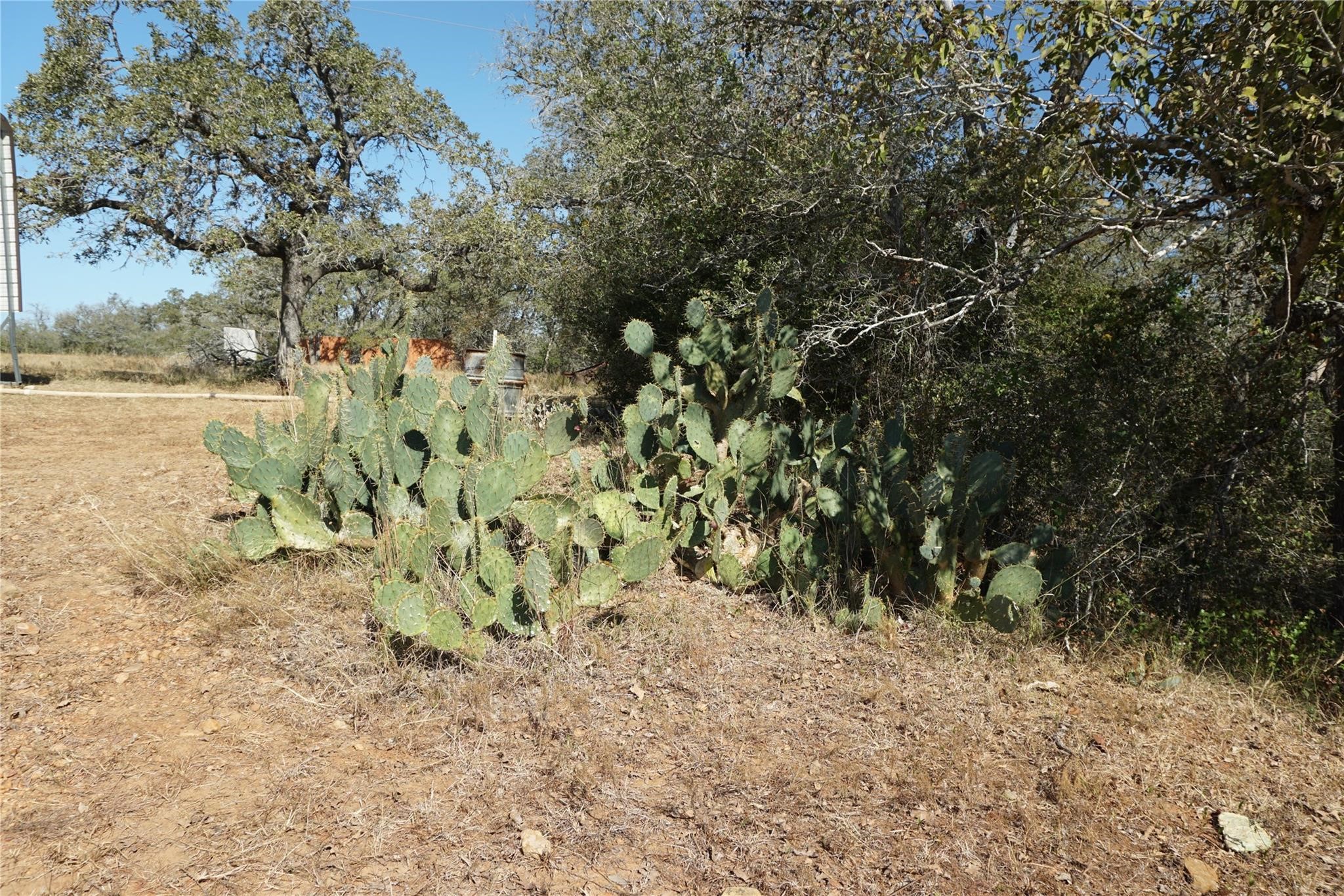 0 Old Seguin Luling Road Property Photo 27