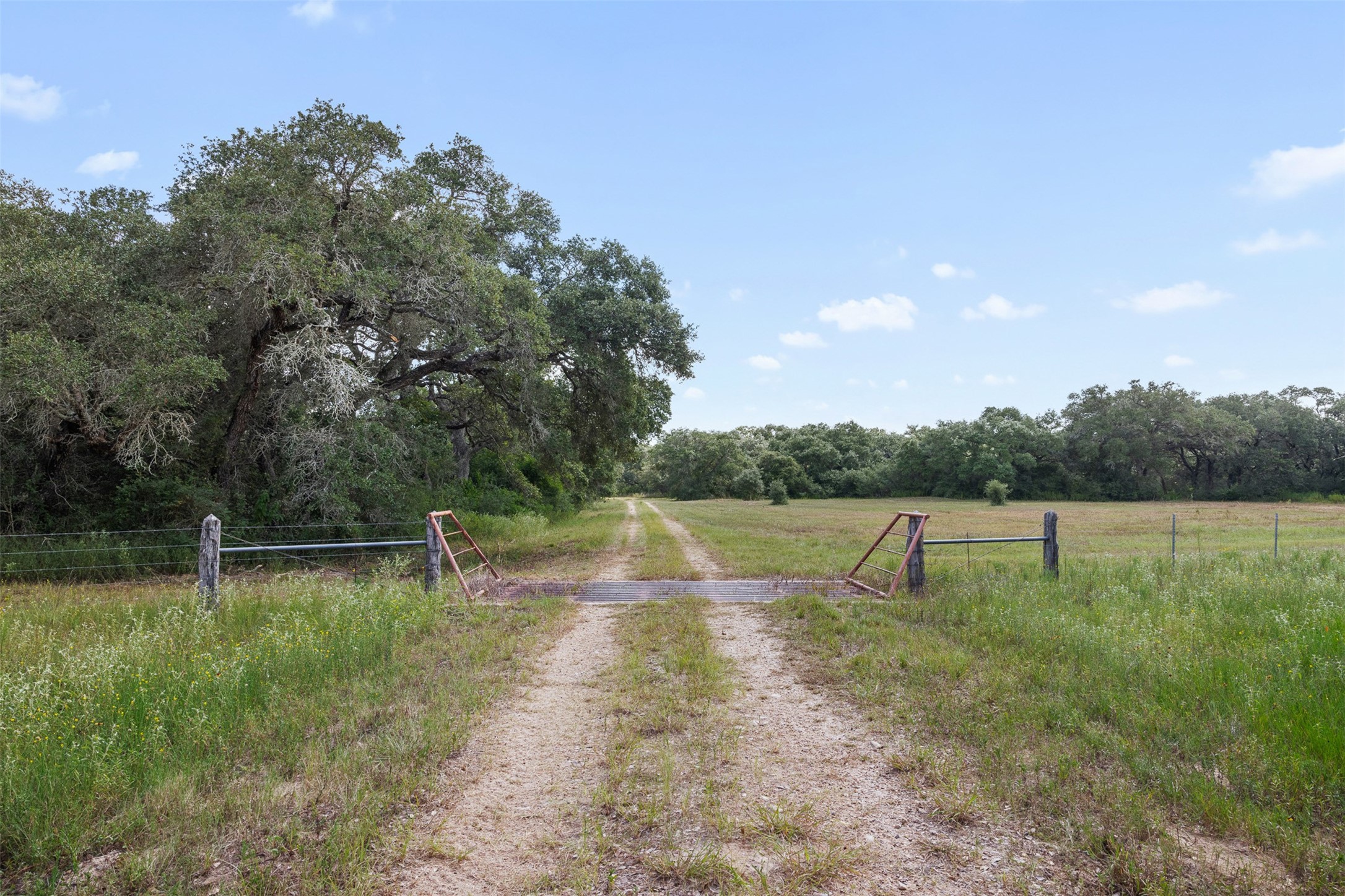 000 Cr 19 Property Photo 5