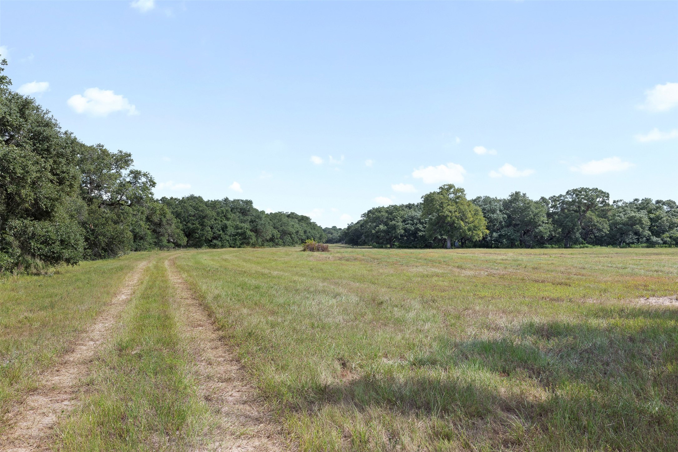 000 Cr 19 Property Photo 6