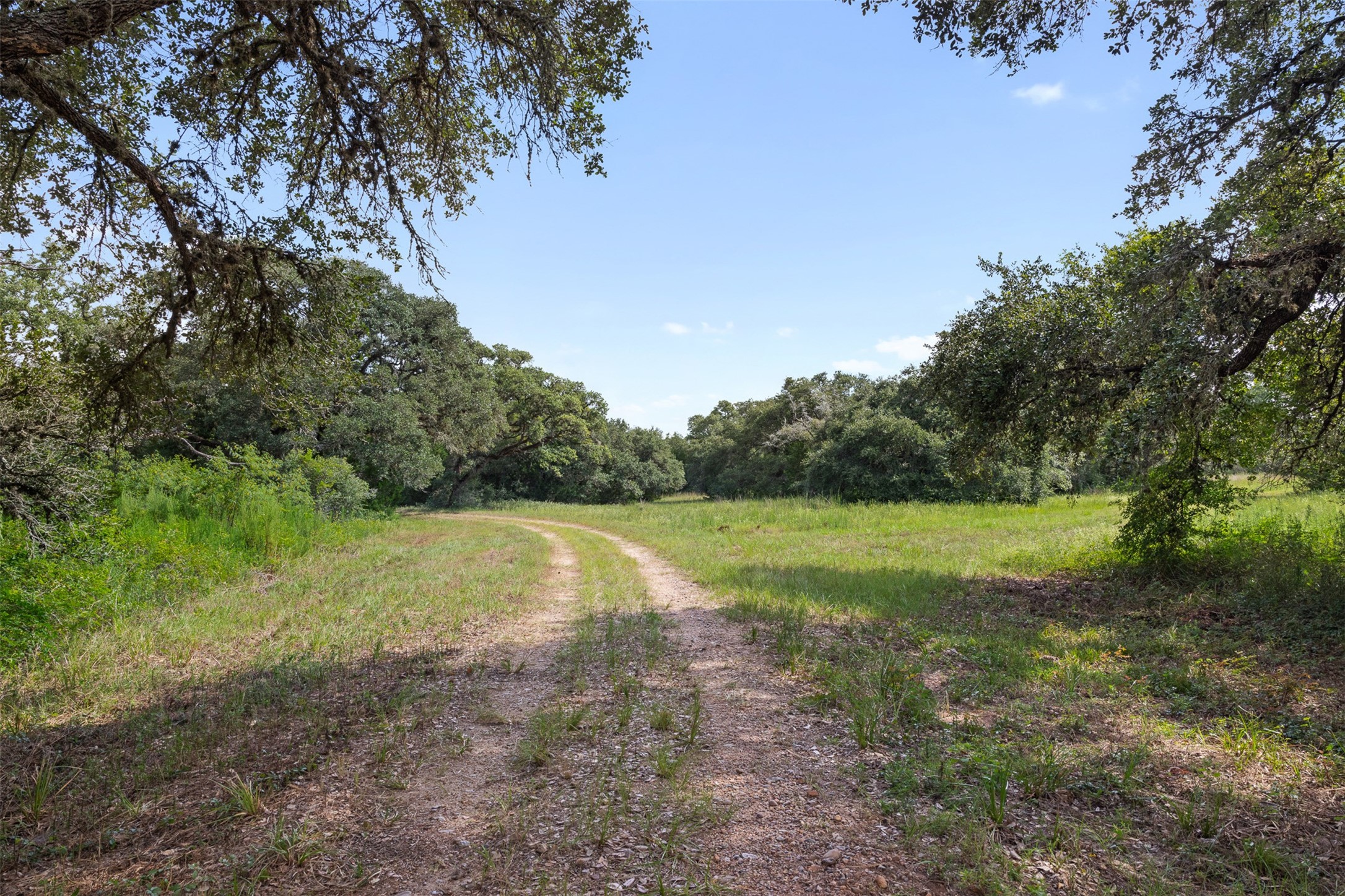 000 Cr 19 Property Photo 7
