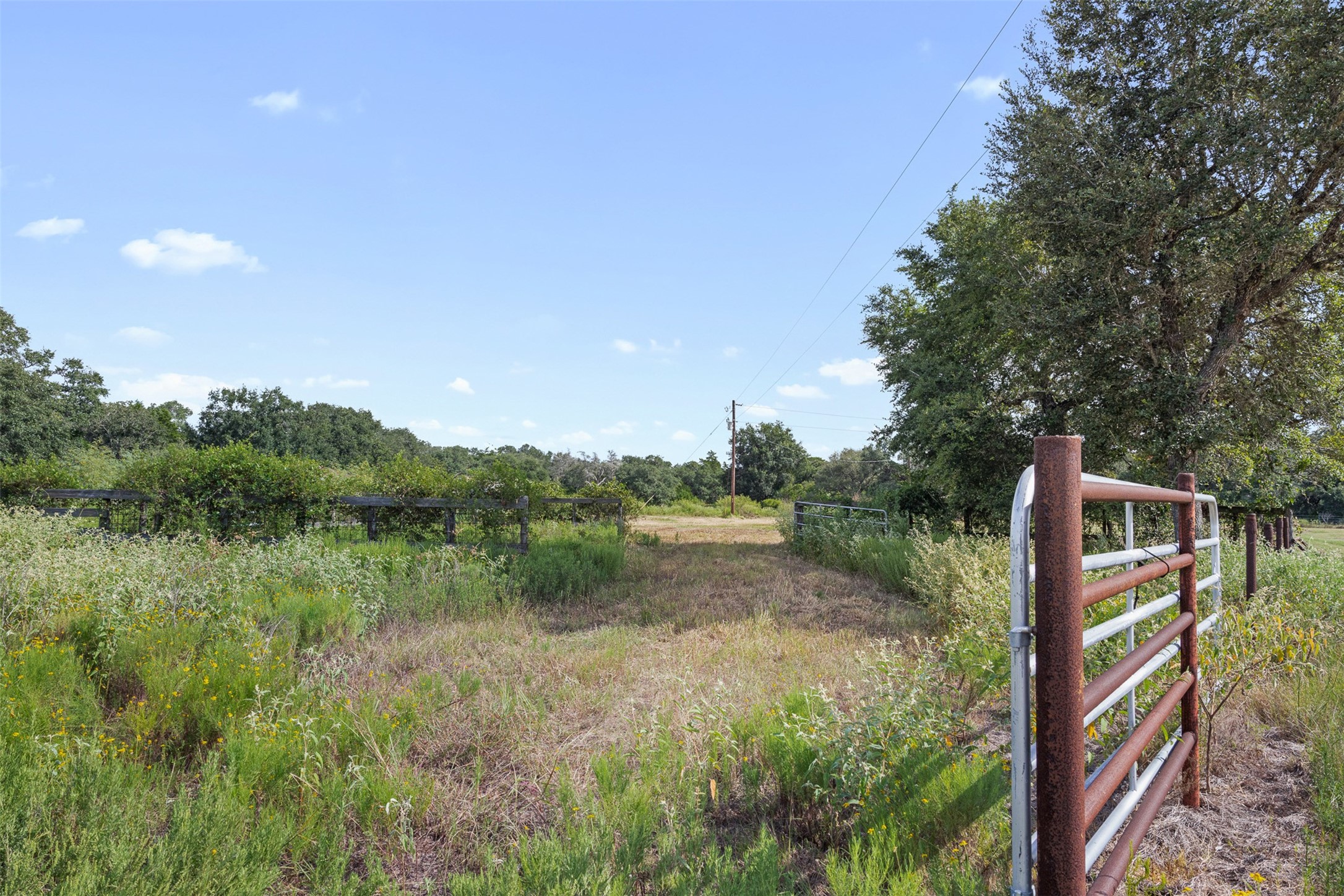 000 Cr 19 Property Photo 9