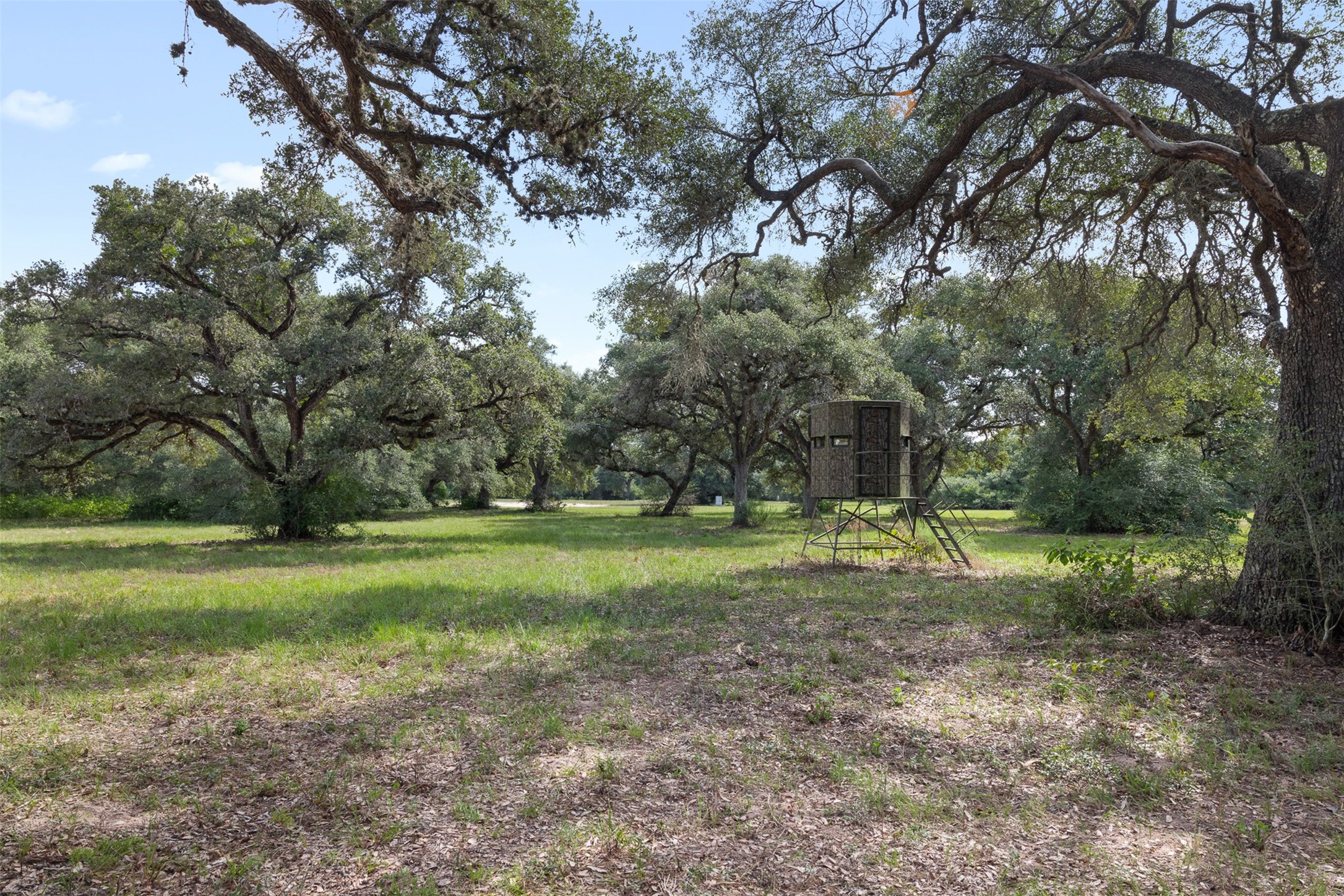 000 Cr 19 Property Photo 11