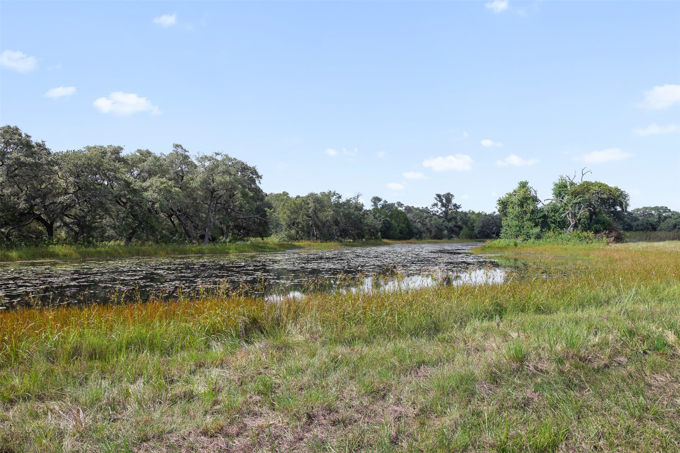 000 Cr 19 Property Photo 13