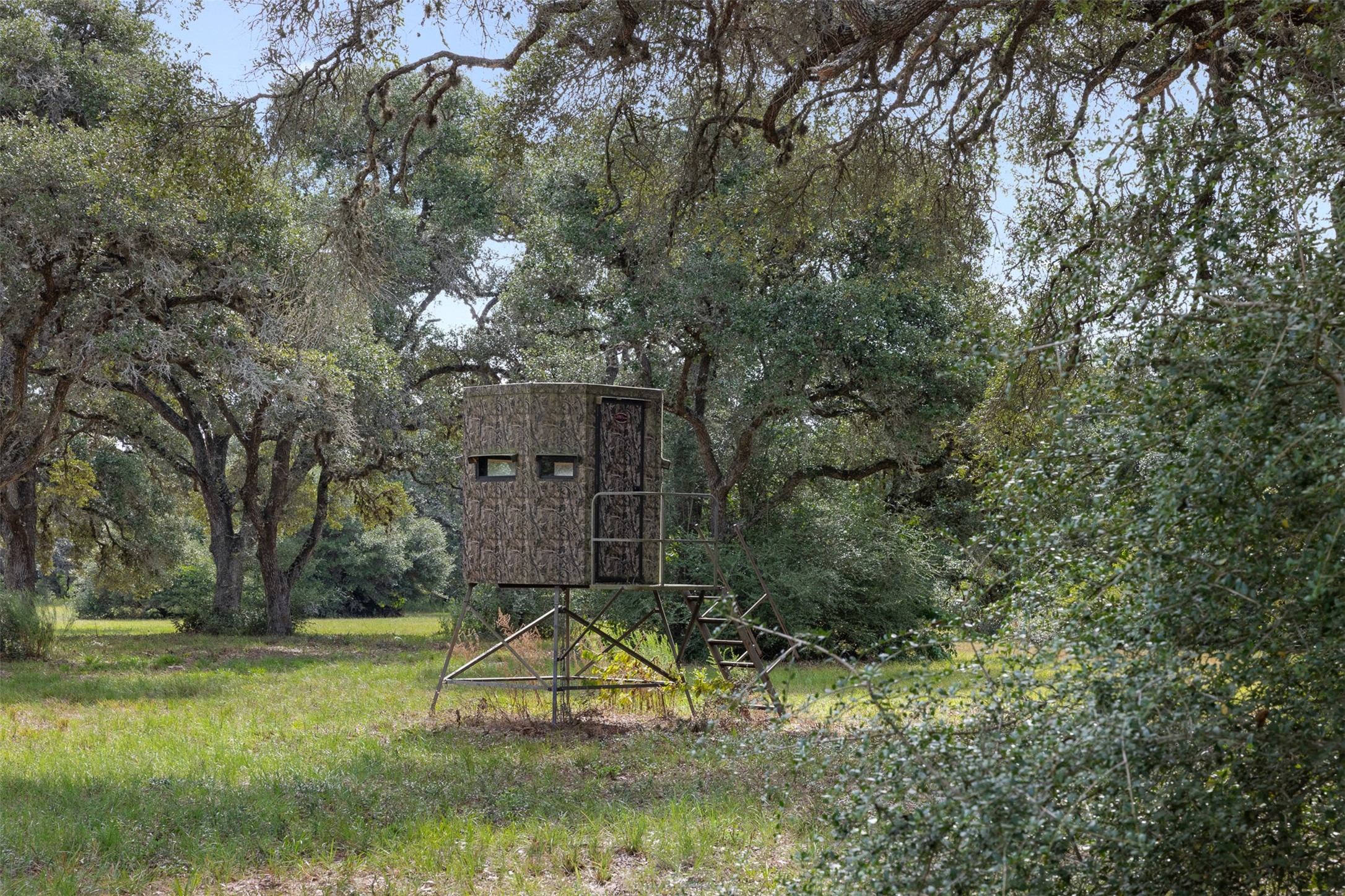 000 Cr 19 Property Photo 23
