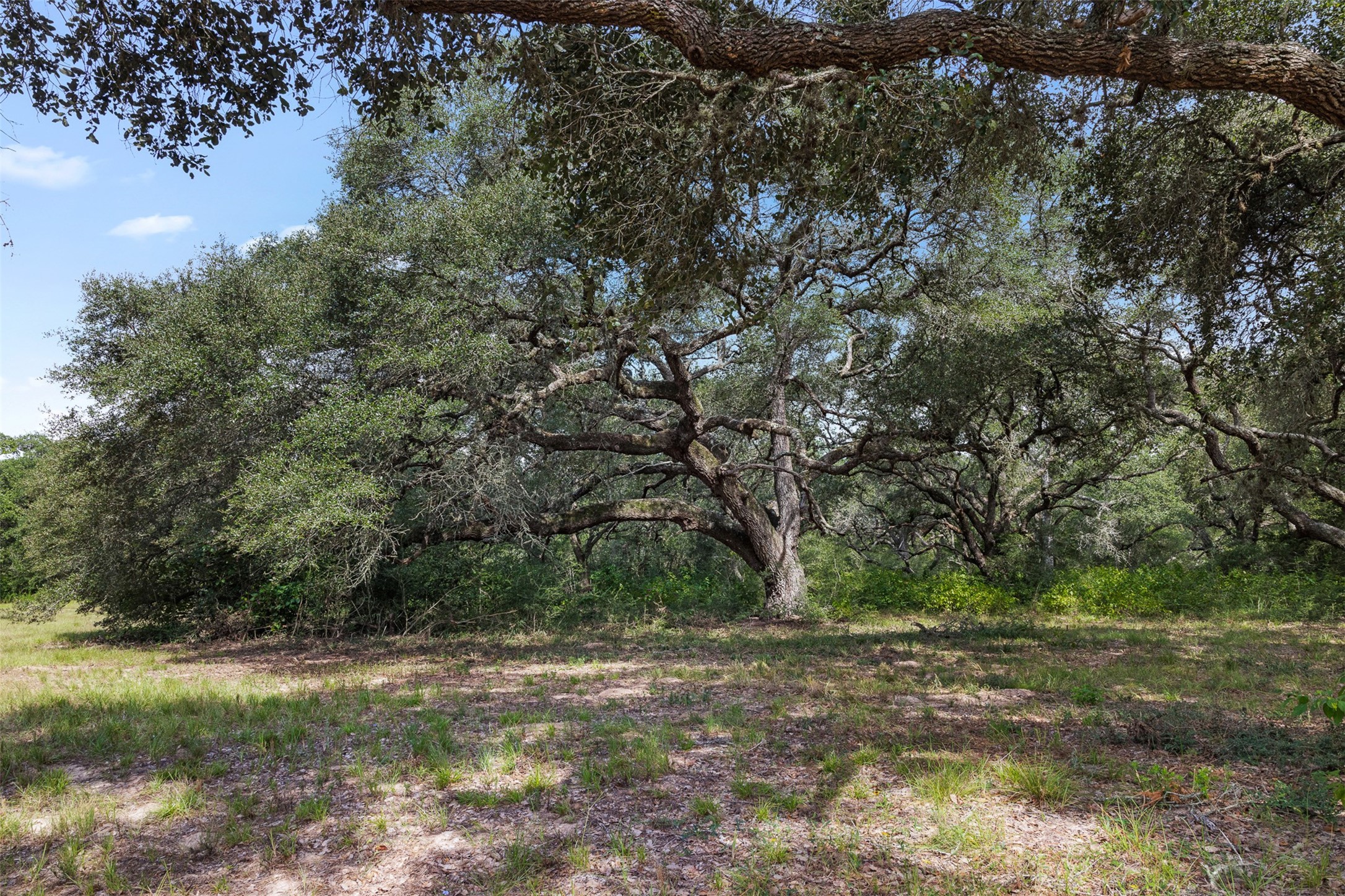 000 Cr 19 Property Photo 26