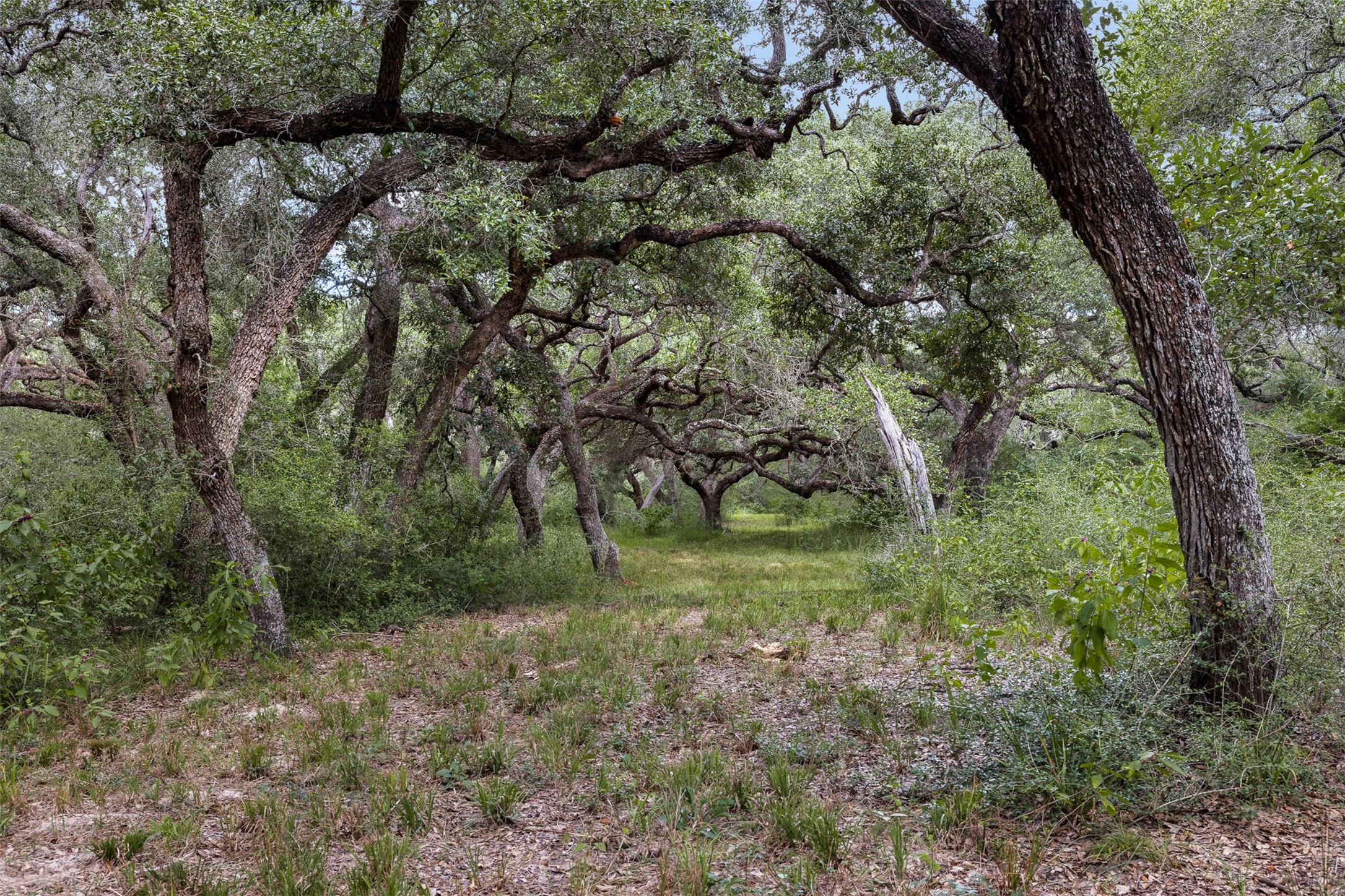 000 Cr 19 Property Photo 29