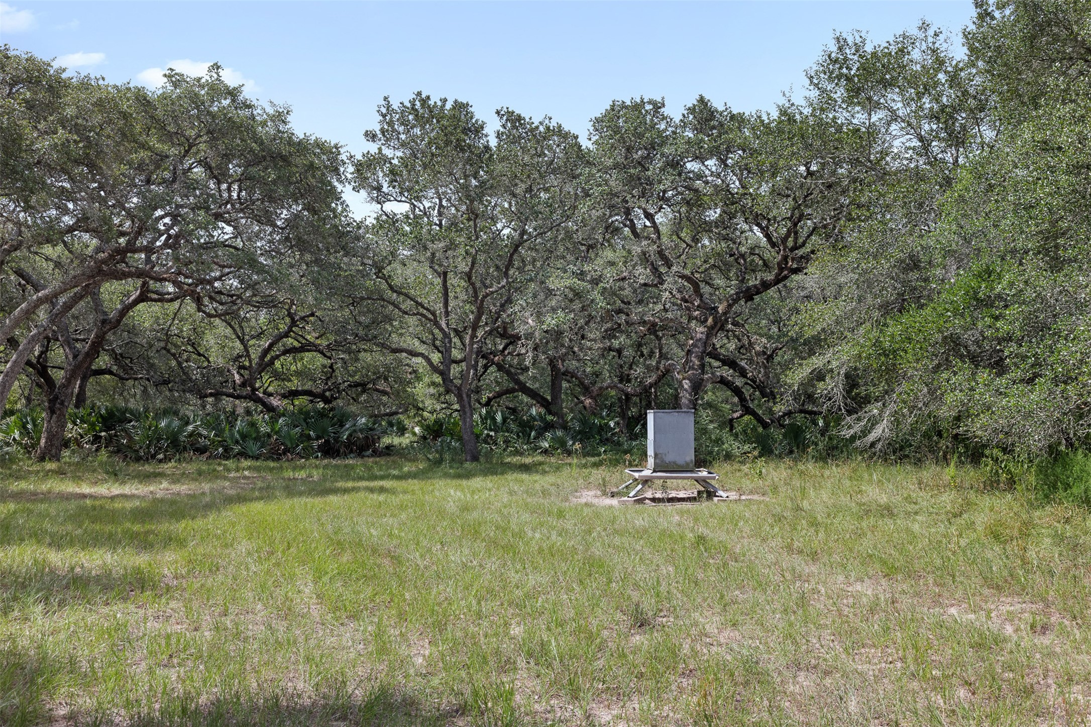 000 Cr 19 Property Photo 30