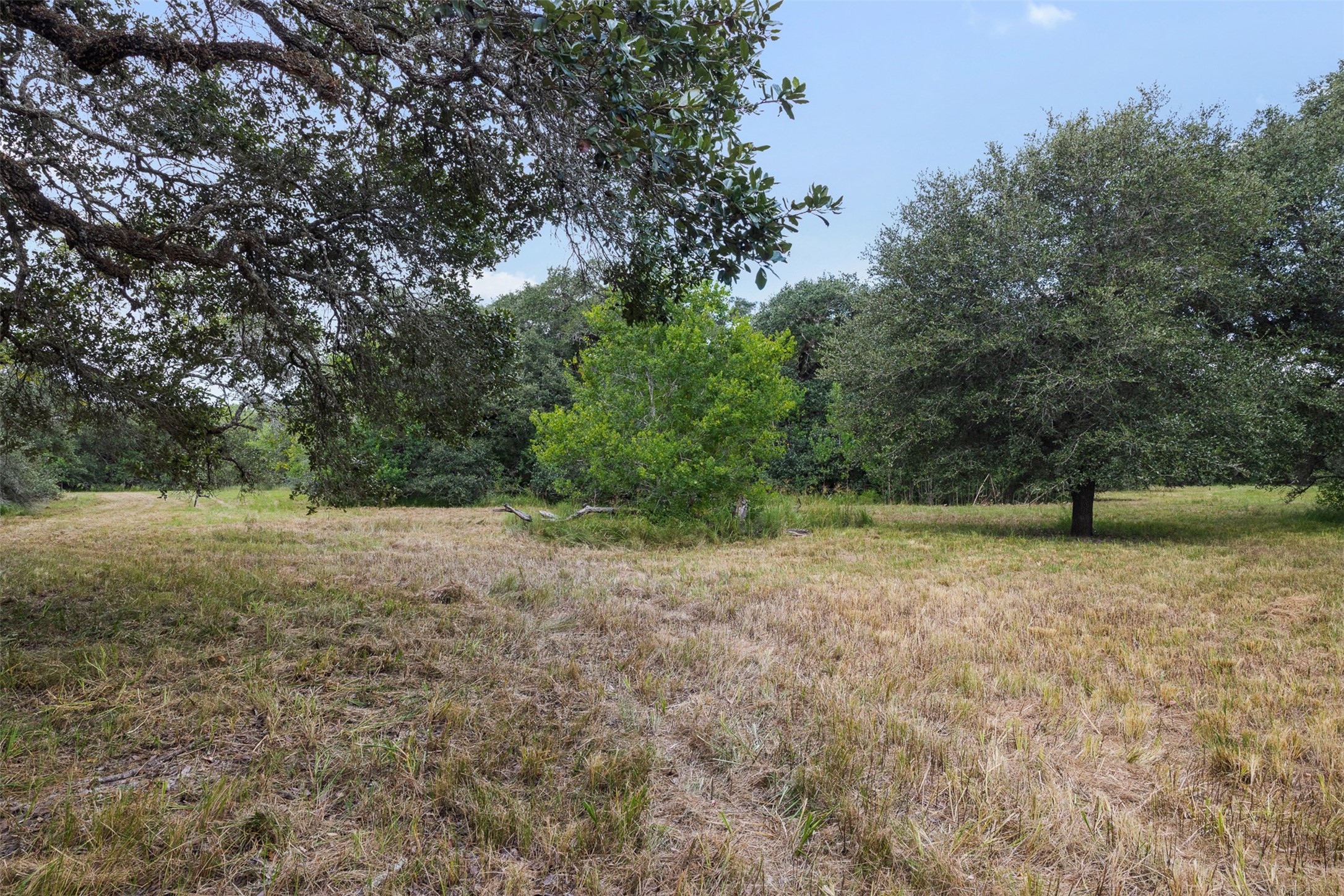 000 Cr 19 Property Photo 31