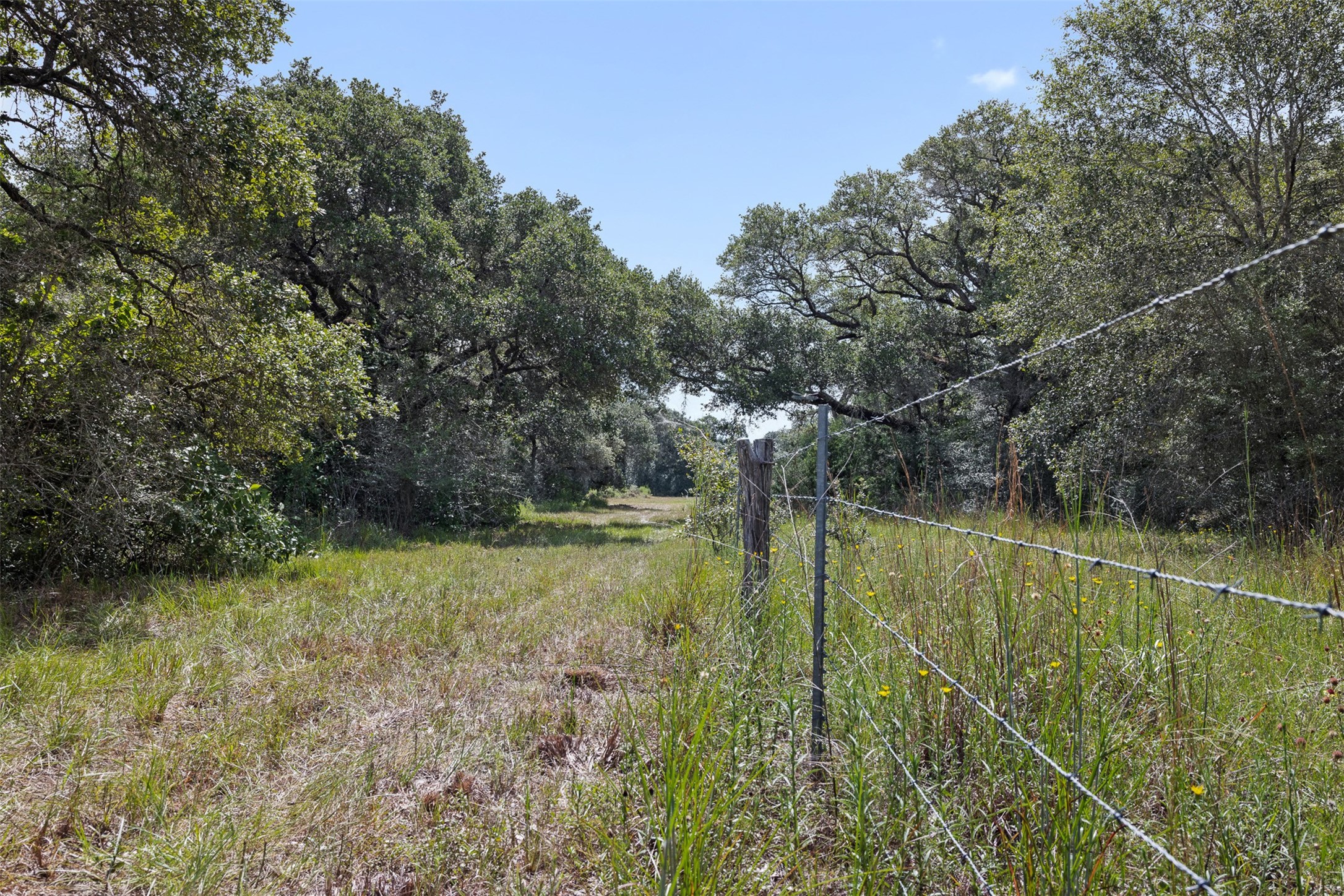000 Cr 19 Property Photo 32