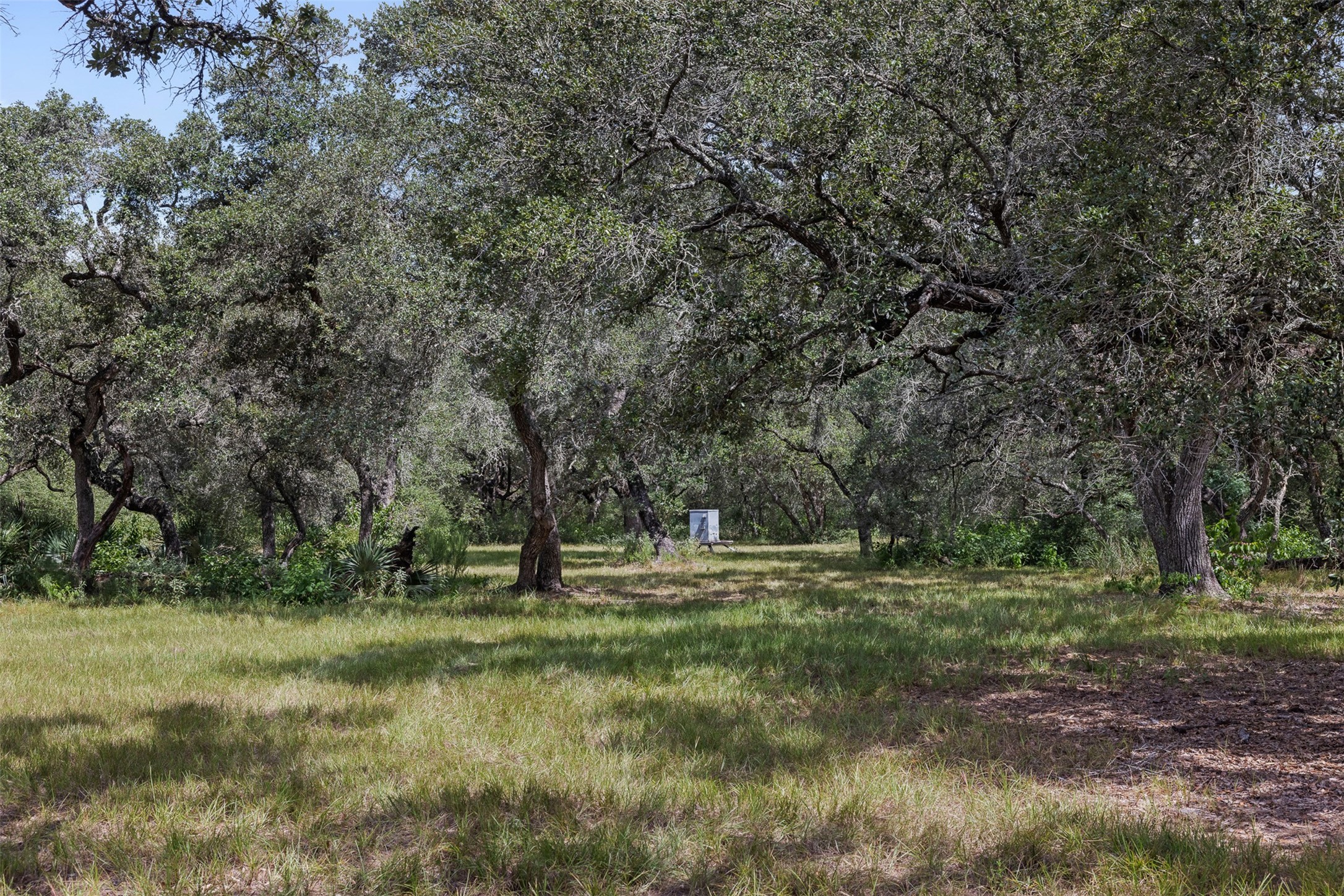 000 Cr 19 Property Photo 33