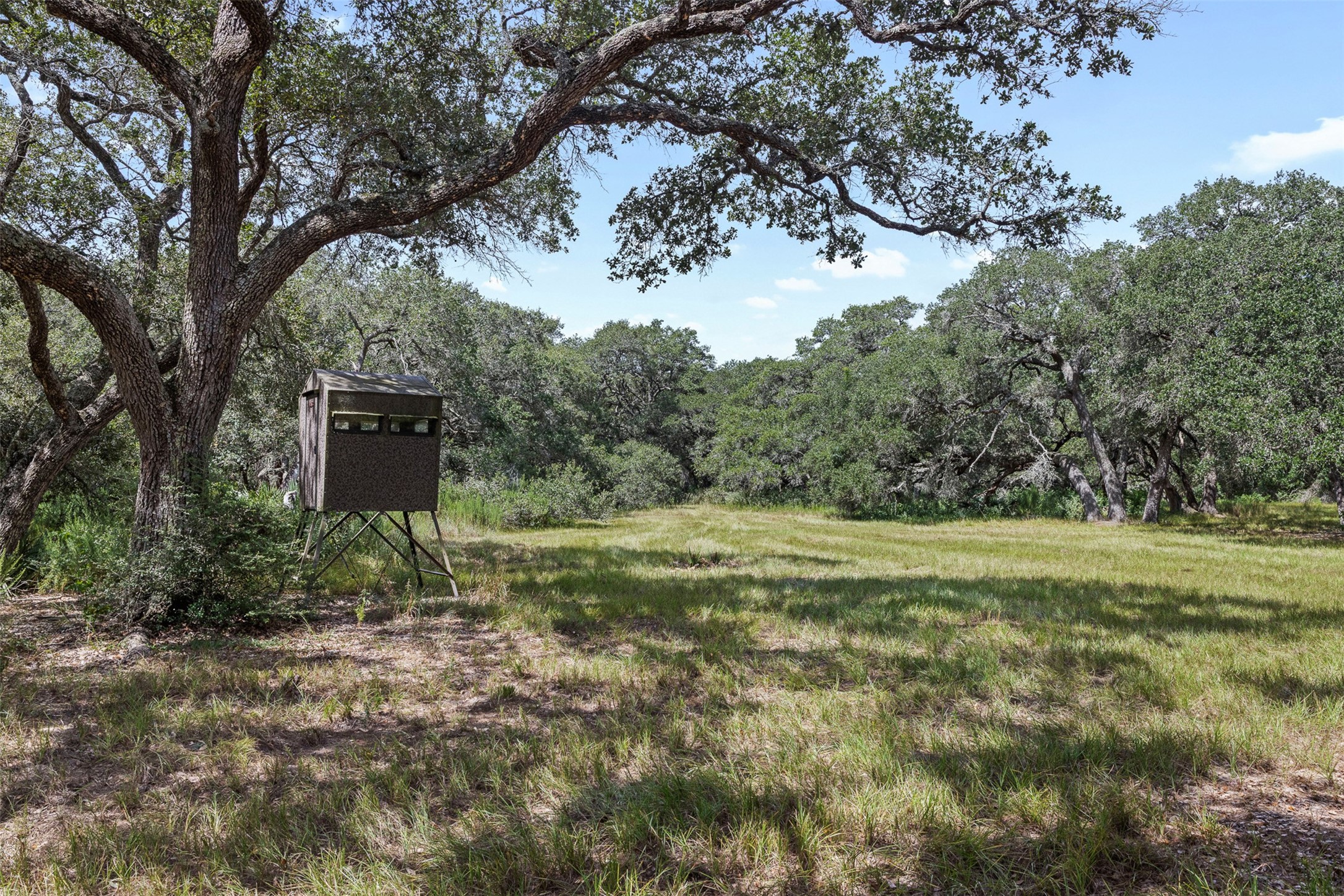 000 Cr 19 Property Photo 34