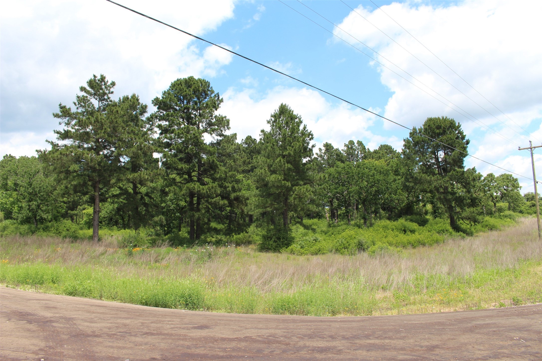Tract 42 Private Road 1316 Property Photo 9