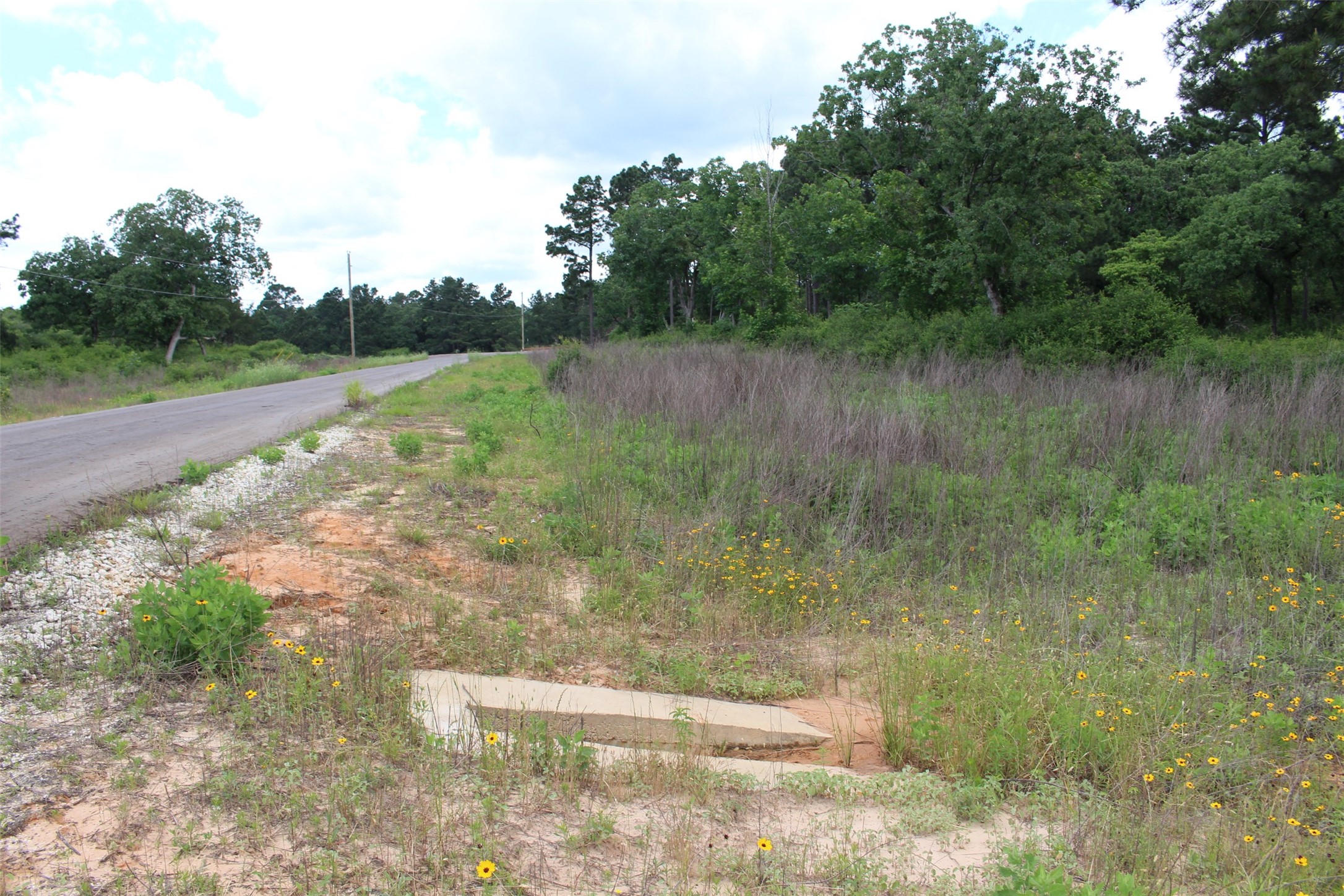 Tract 42 Private Road 1316 Property Photo 14