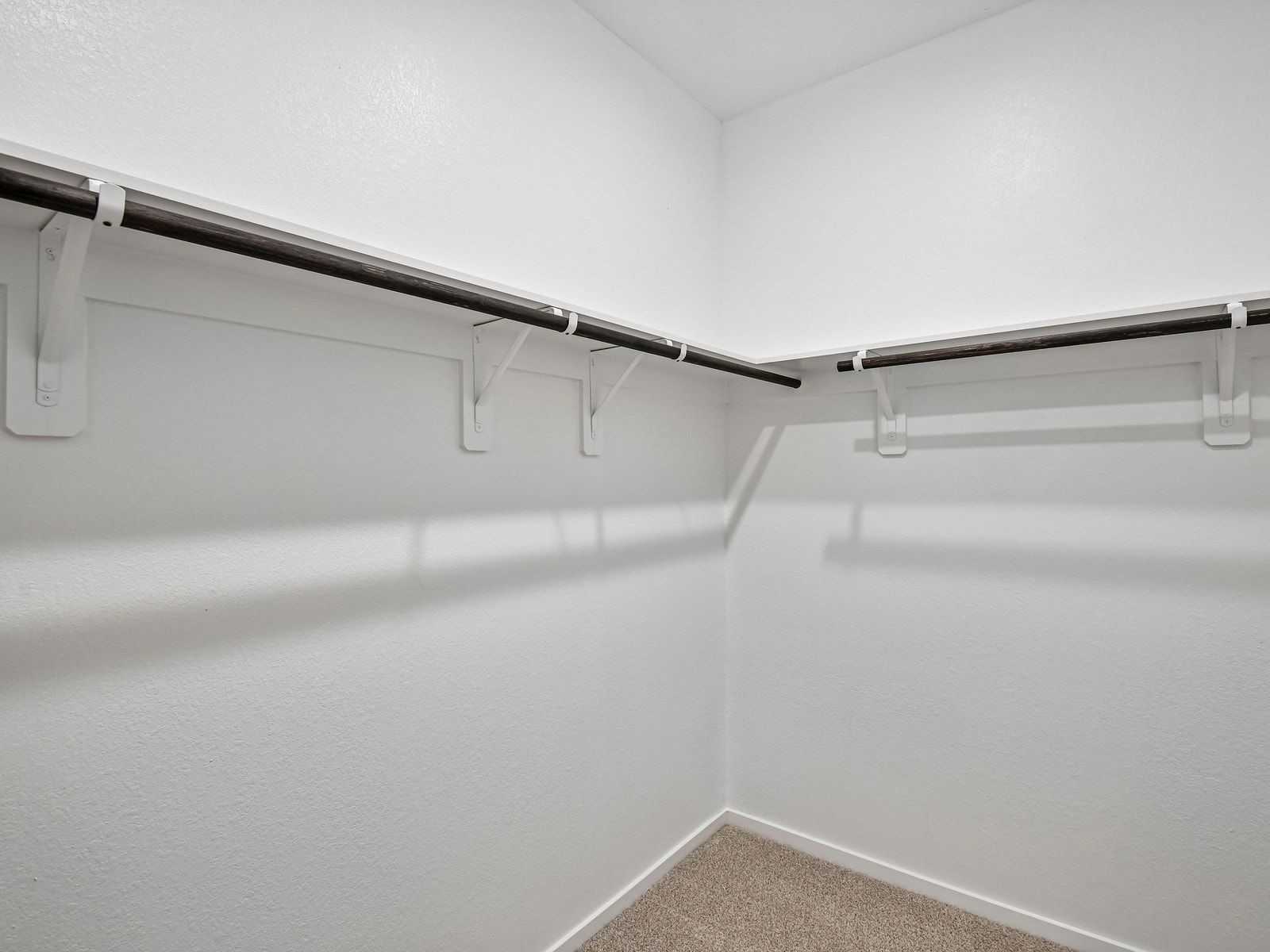 31011 Rova Boat Drive Property Photo 34