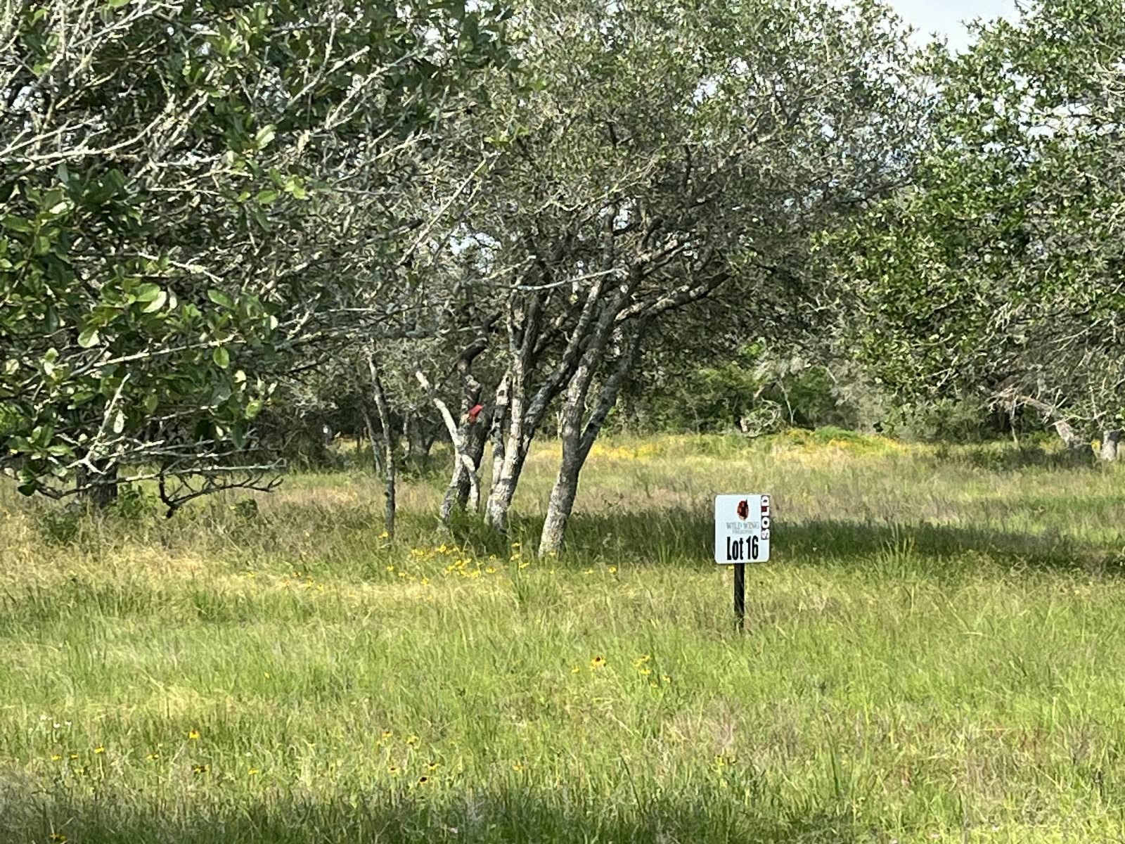 0 Pintail Lane Property Photo 2