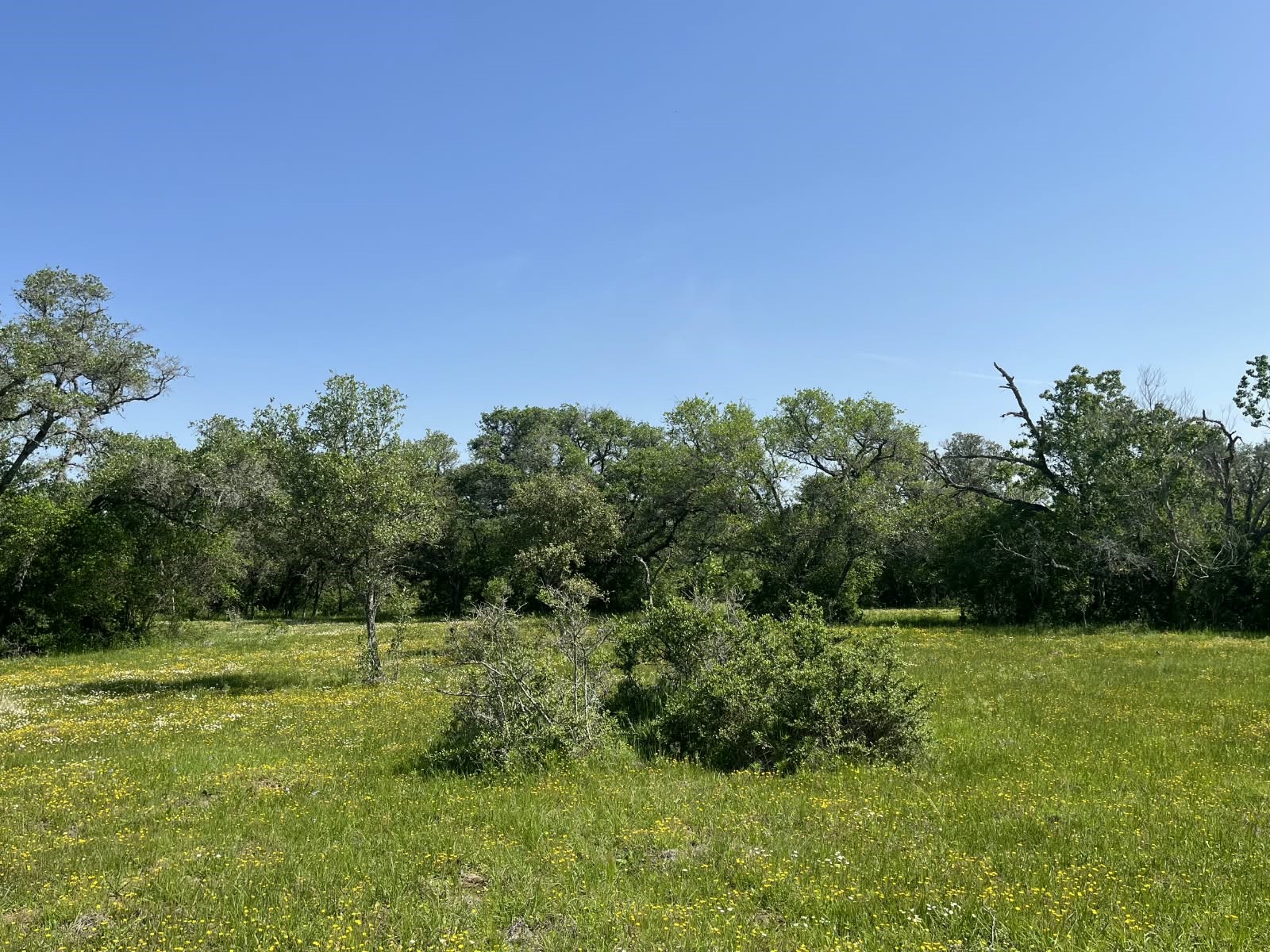 0 Pintail Lane Property Photo 3