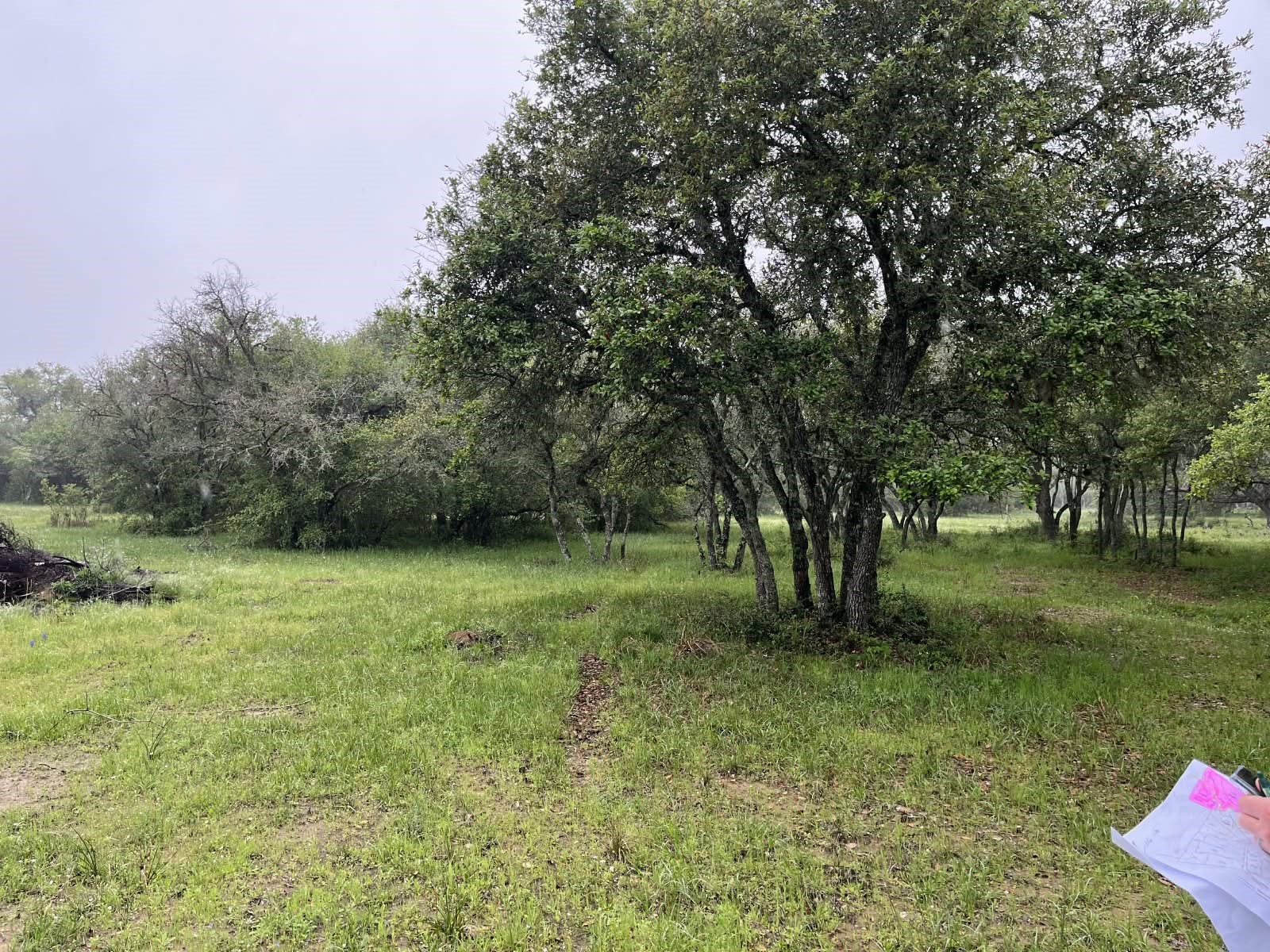 0 Pintail Lane Property Photo 4