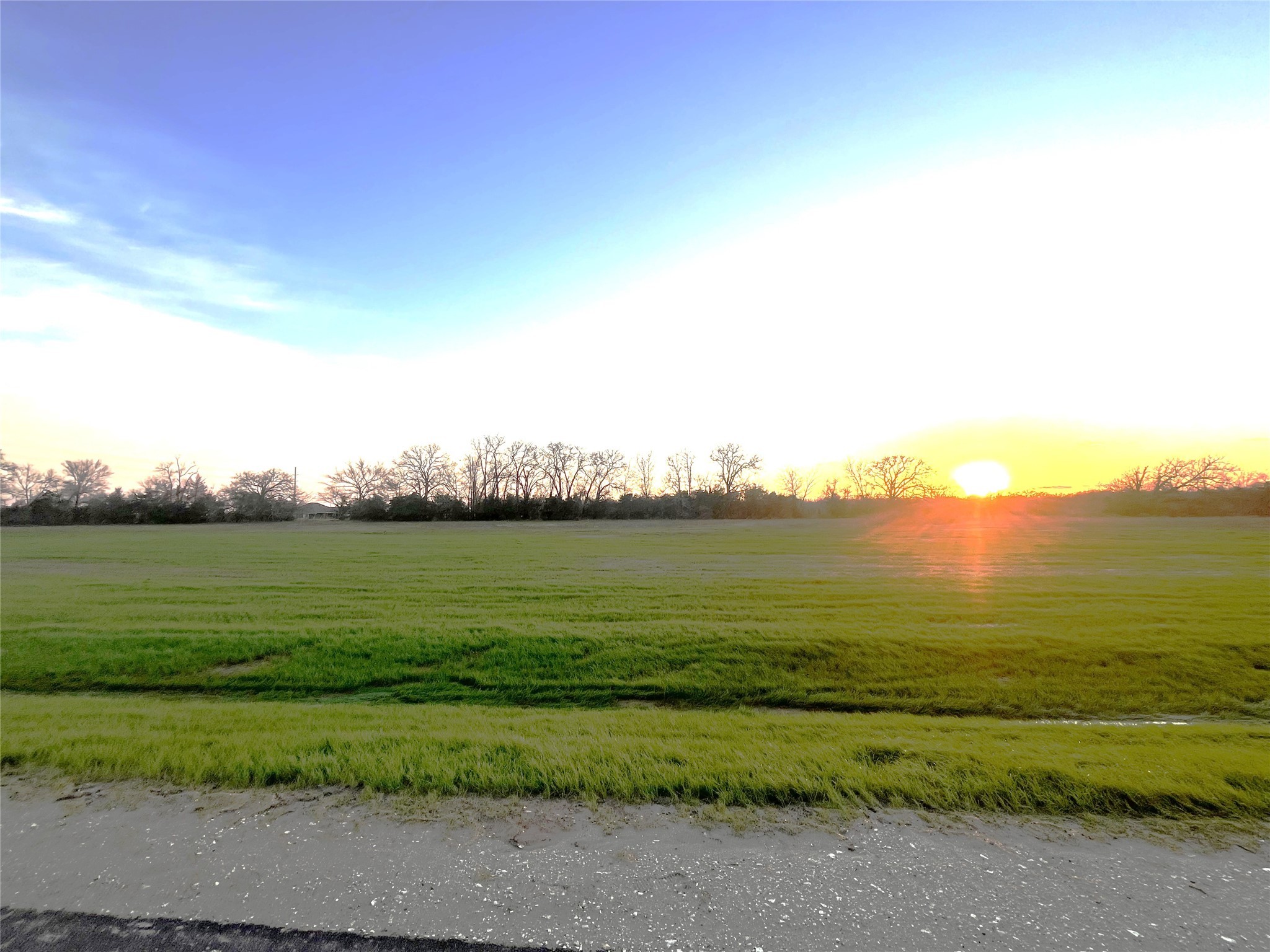 2457 Coronado Estates Drive Property Photo 3